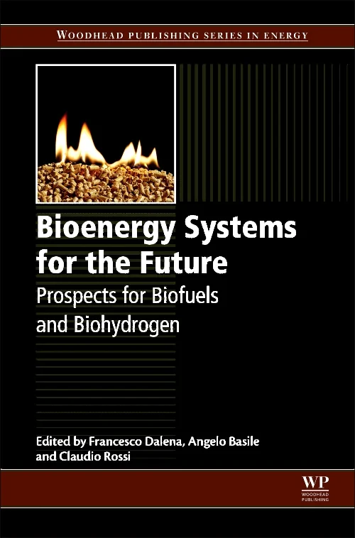 Coperta cărții "Bioenergy Systems for the Future" de Angelo Basile, Francesco Dalena, Claudio Rossi