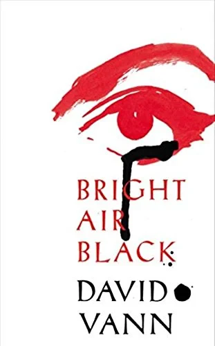 Coperta cărții "Bright Air Black" de David Vann