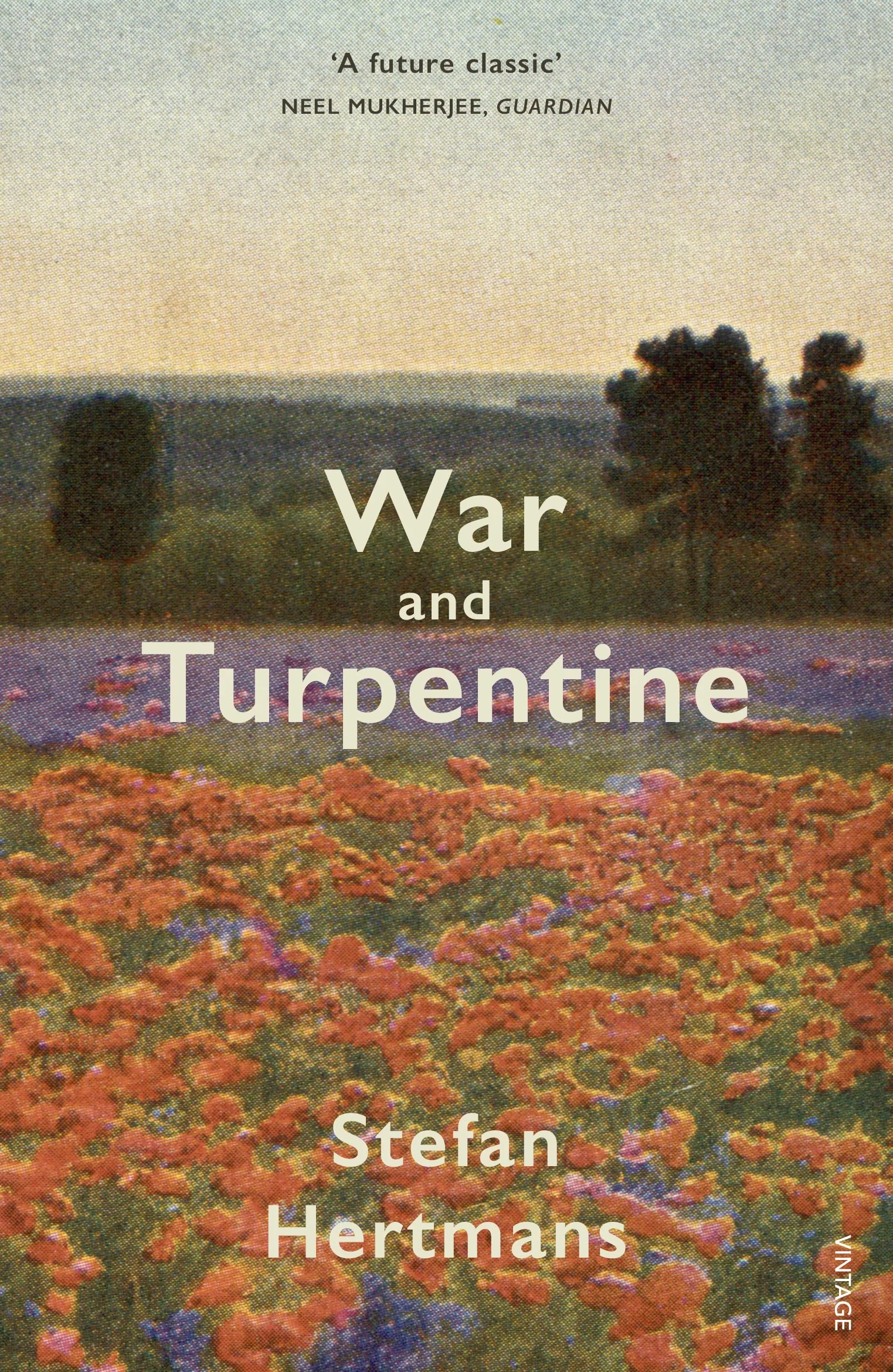 Coperta cărții "War and Turpentine" de Stefan Hertmans, David McKay