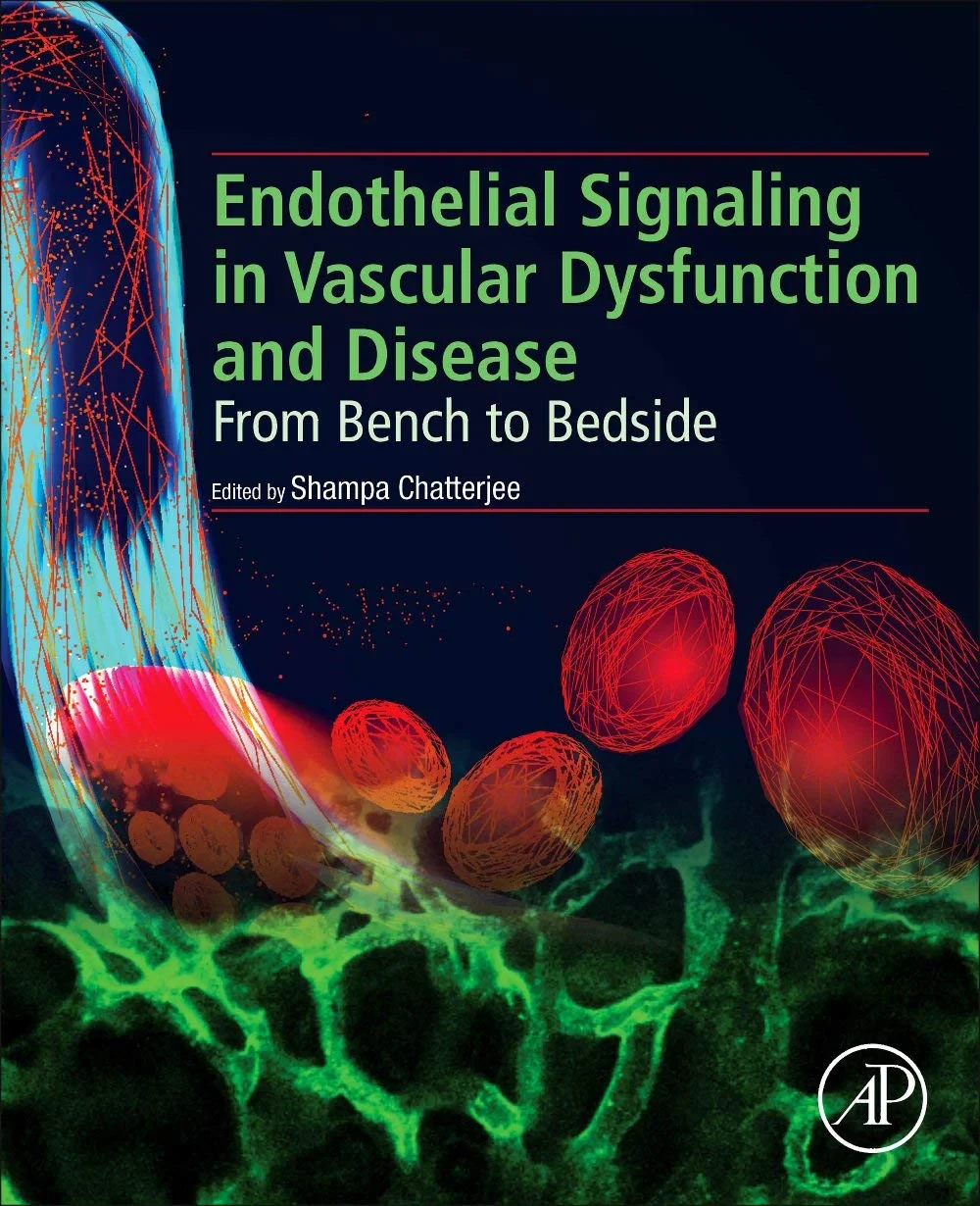 Coperta cărții "Endothelial Signaling in Vascular Dysfunction and Disease: From Bench to Bedside " de Shampa Chatterjee PhD