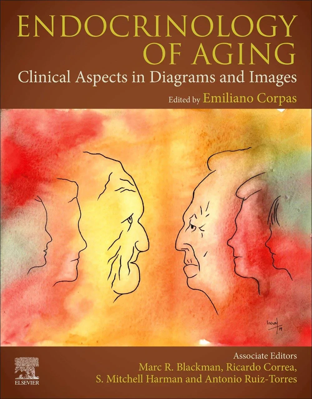 Coperta cărții "Endocrinology of Aging: Clinical Aspects in Diagrams and Images" de Marc R. Blackman, Ricardo Correa, S. Mitchell Harman, Antonio Ruiz-Torres