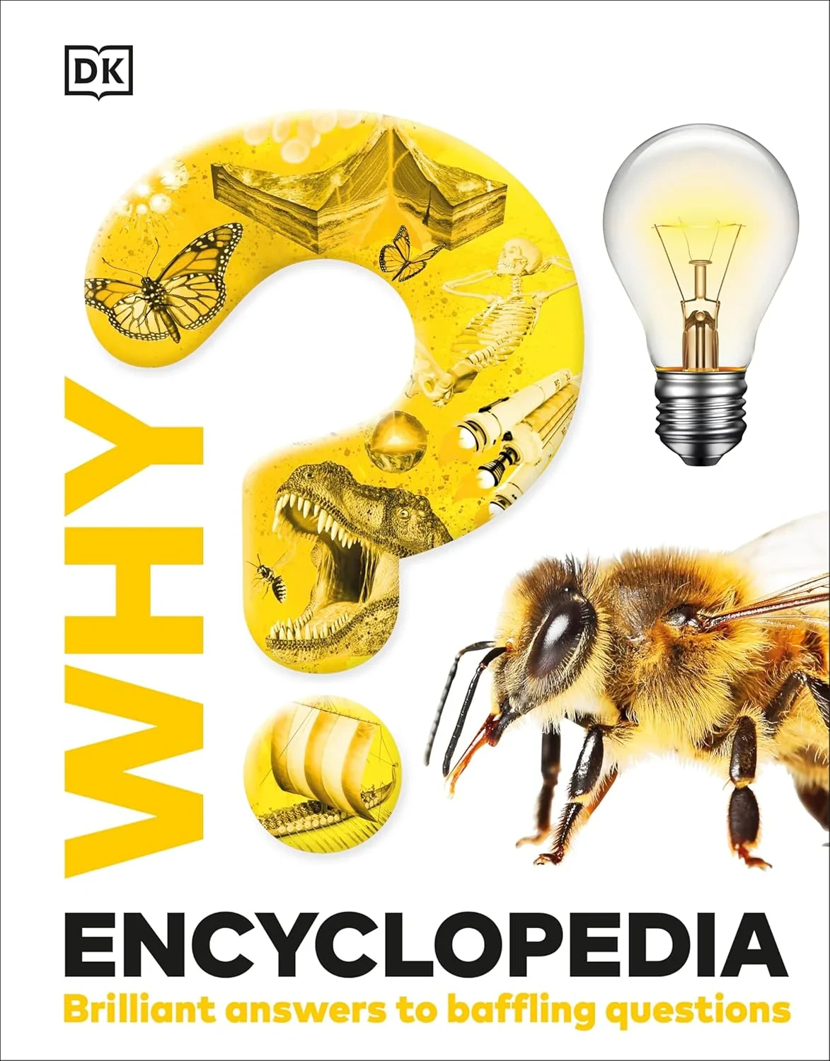 Coperta cărții "Why? Encyclopedia: Brilliant Answers to Baffling Questions " de DK
