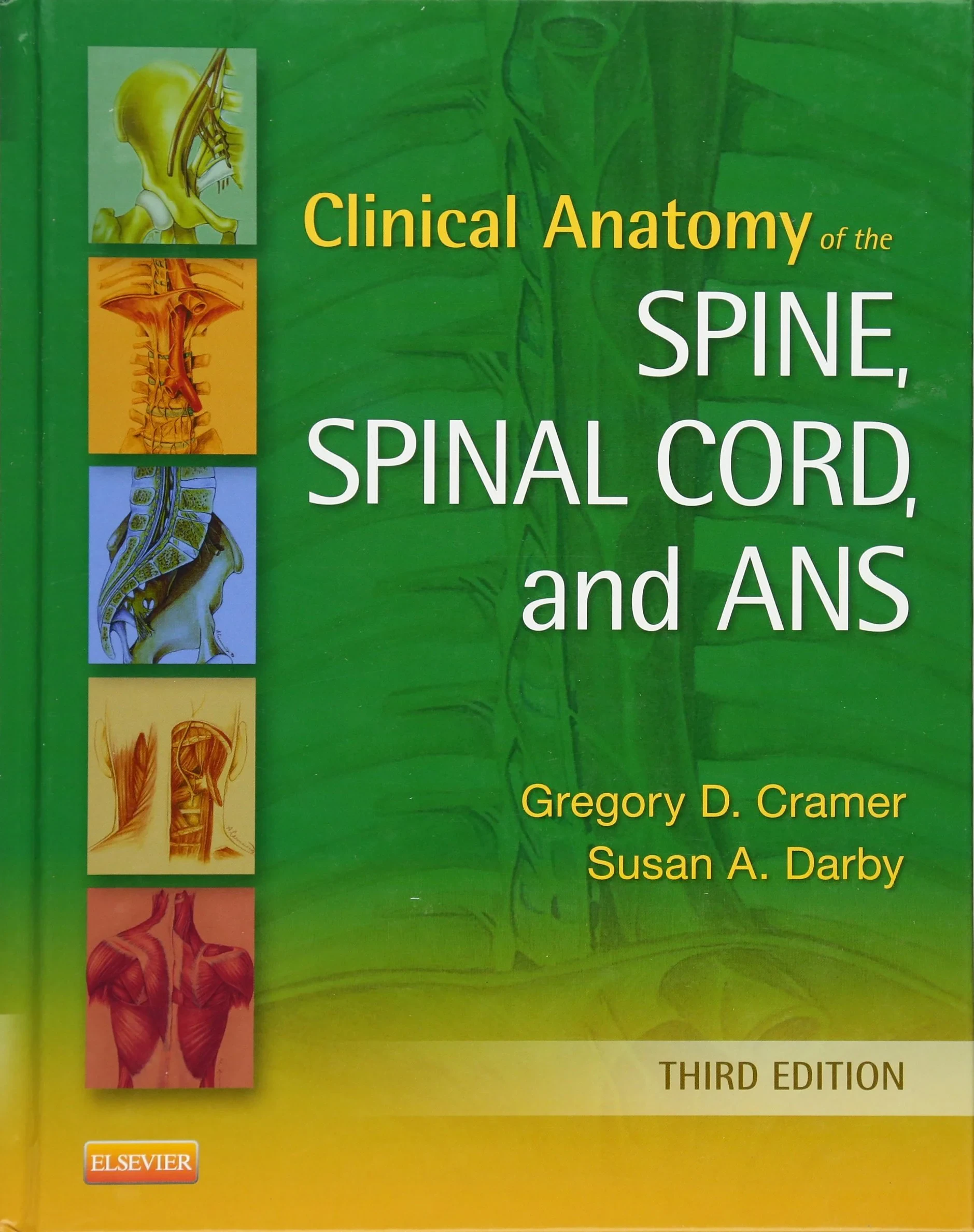 Coperta cărții "Clinical Anatomy of the Spine, Spinal Cord, and ANS, 3e" de PhD, USA, IL, Gregory D. Cramer, DC, Professor and Dean of Research, National University of Health Science, Lombard, USA and Susan A. Darby, Associate Professor, Department of Anatomy