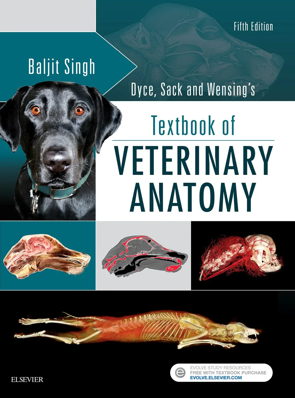 Coperta cărții "Dyce, Sack, and Wensing's Textbook of Veterinary Anatomy, 5e" de Baljit Singh