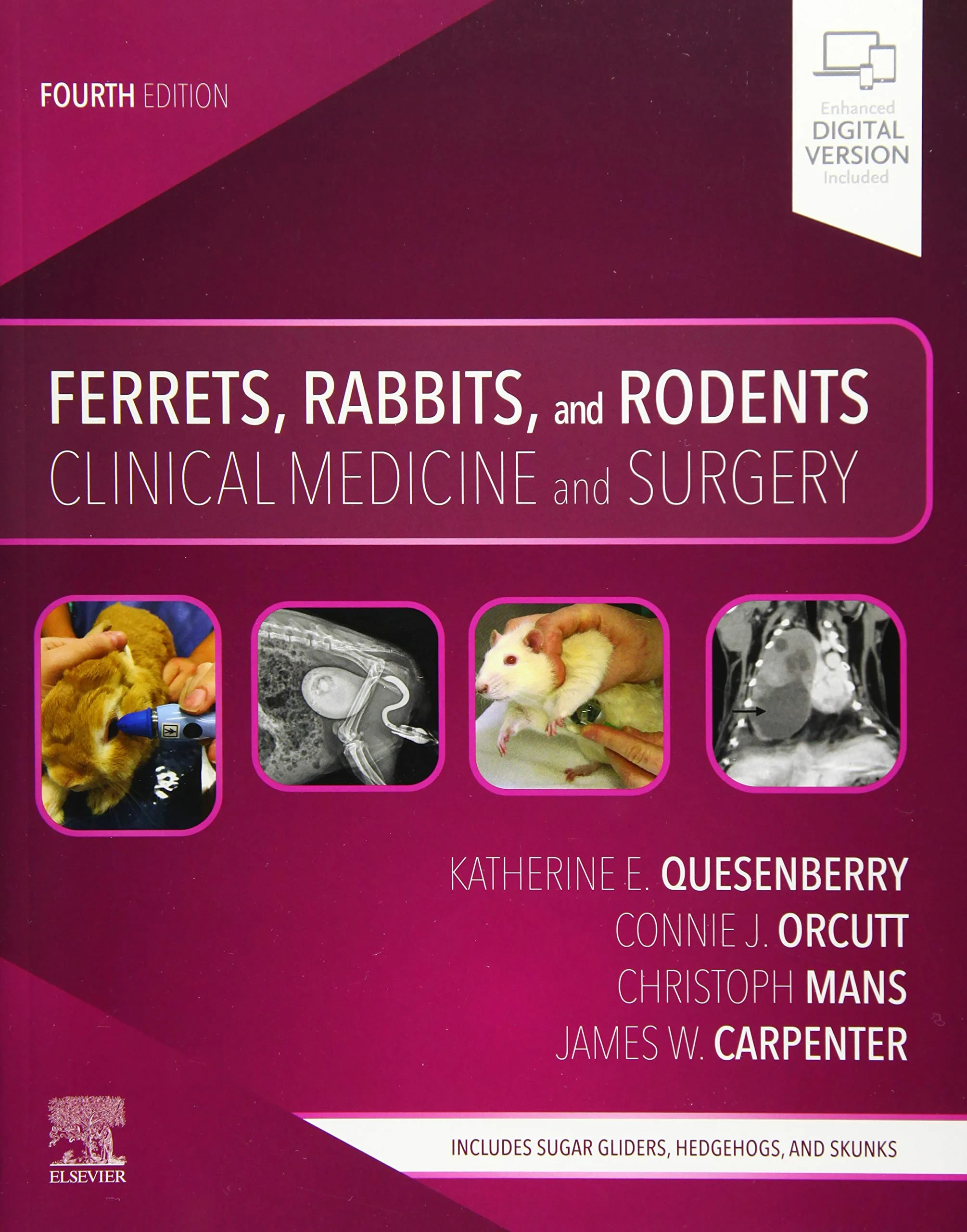Coperta cărții "Ferrets, Rabbits, and Rodents: Clinical Medicine and Surgery" de Katherine Quesenberry, Christoph Mans, Connie Orcutt Editat de James W. Carpenter