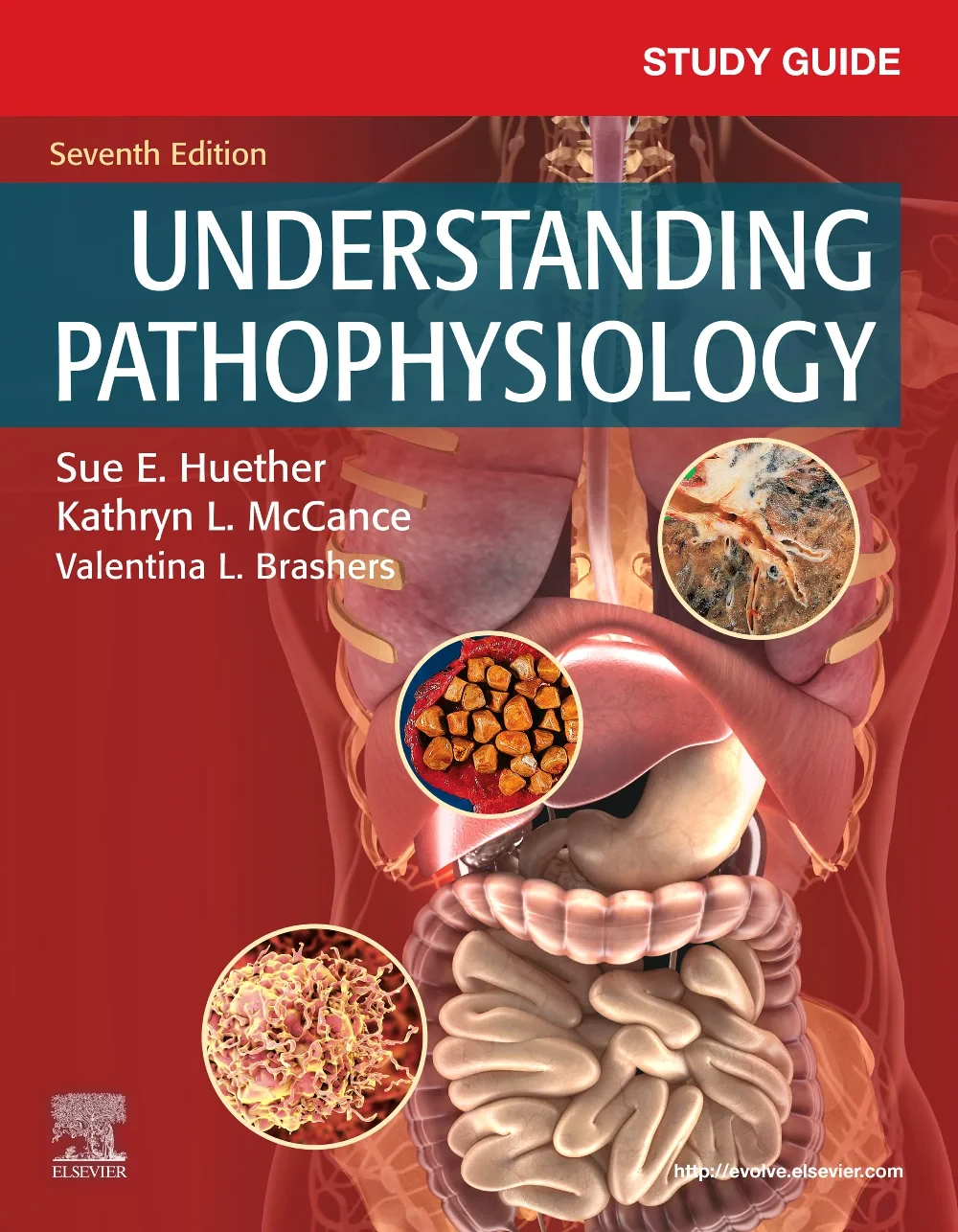 Coperta cărții "Study Guide for Understanding Pathophysiology, 7th Edition" de Sue E. Huether MSN PhD (Author), Kathryn L. McCance MSN PhD