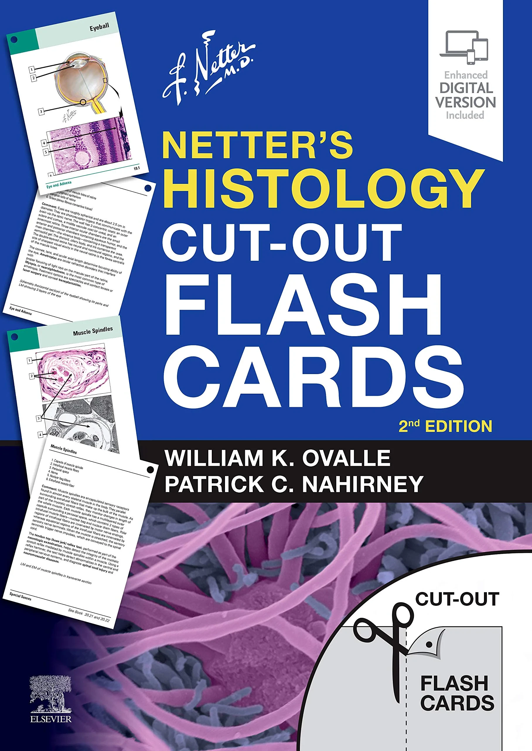 Coperta cărții "Netter’s Histology Cut-Out Flash Cards: A companion to Netter’s Essential Histology" de William K. Ovalle PhD, Patrick C. Nahirney PhD