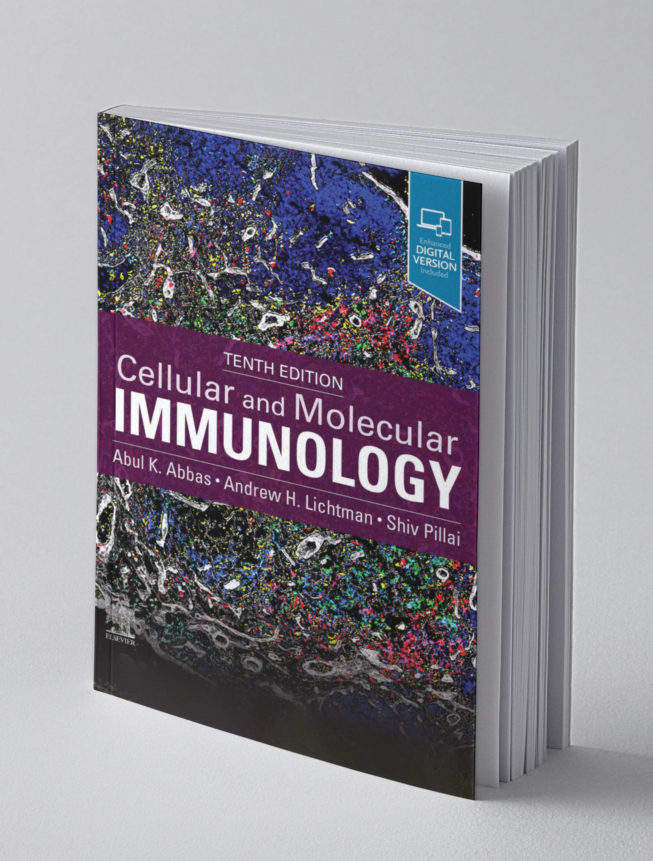 Coperta cărții "Cellular and Molecular Immunology 10th editiom" de Andrew H. Lichtman, Shiv Pillai, Abul K. Abbas