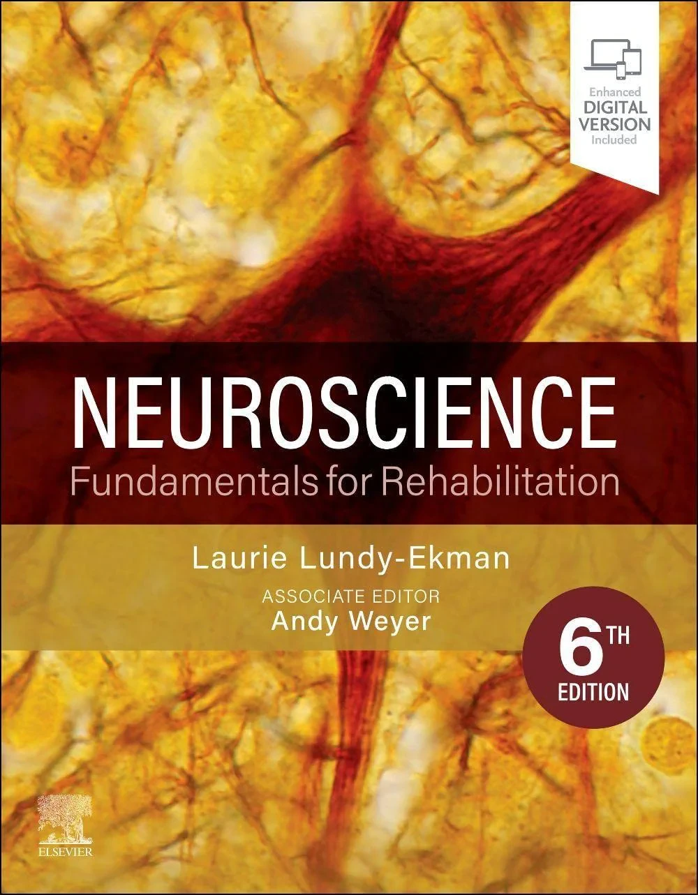 Coperta cărții "Neuroscience: Fundamentals for Rehabilitation" de Laurie Lundy-Ekman PhD PT