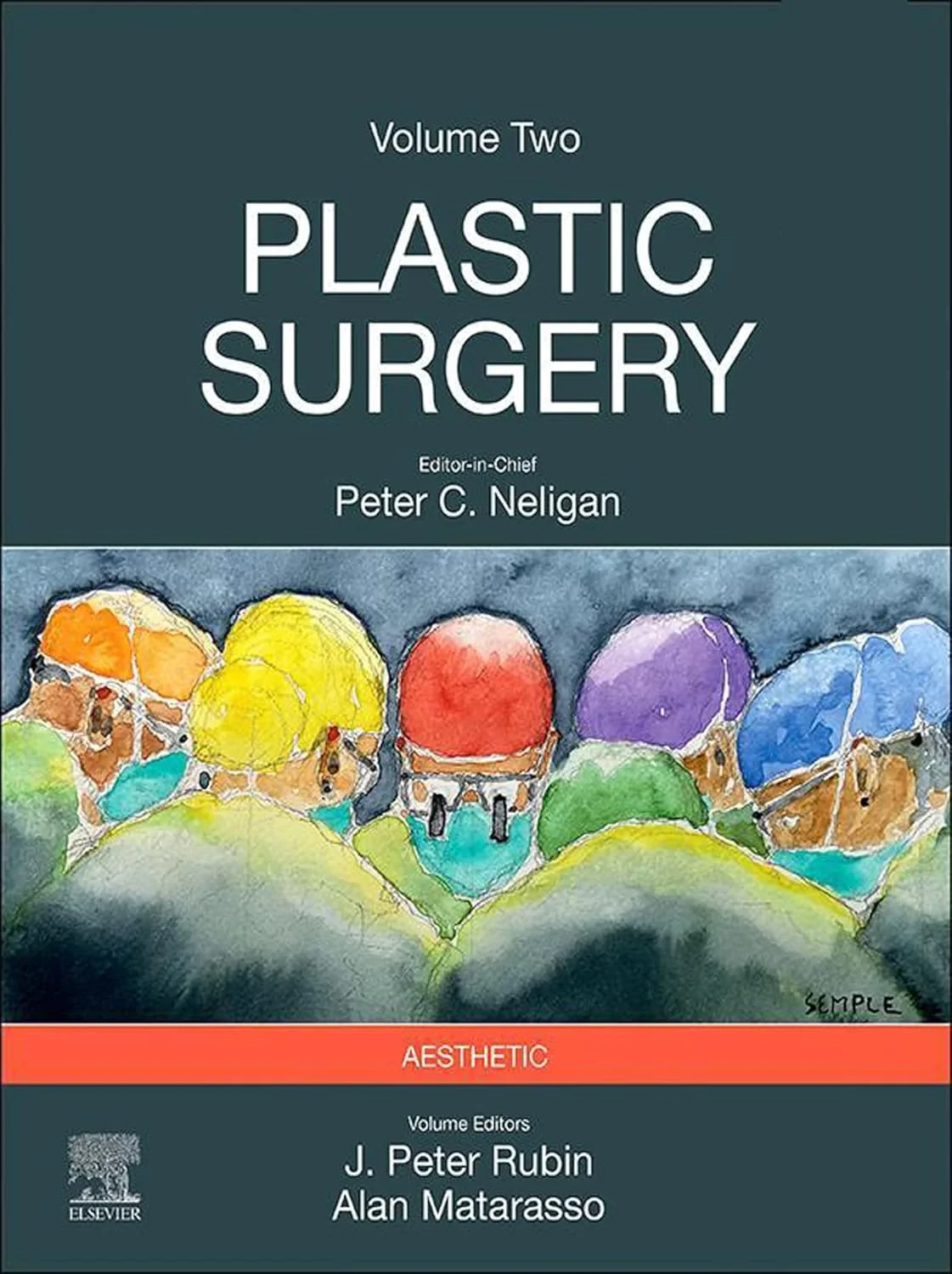 Coperta cărții "Plastic Surgery: Volume 2: Aesthetic Surgery" de Peter C. Neligan, J. Peter Rubin
