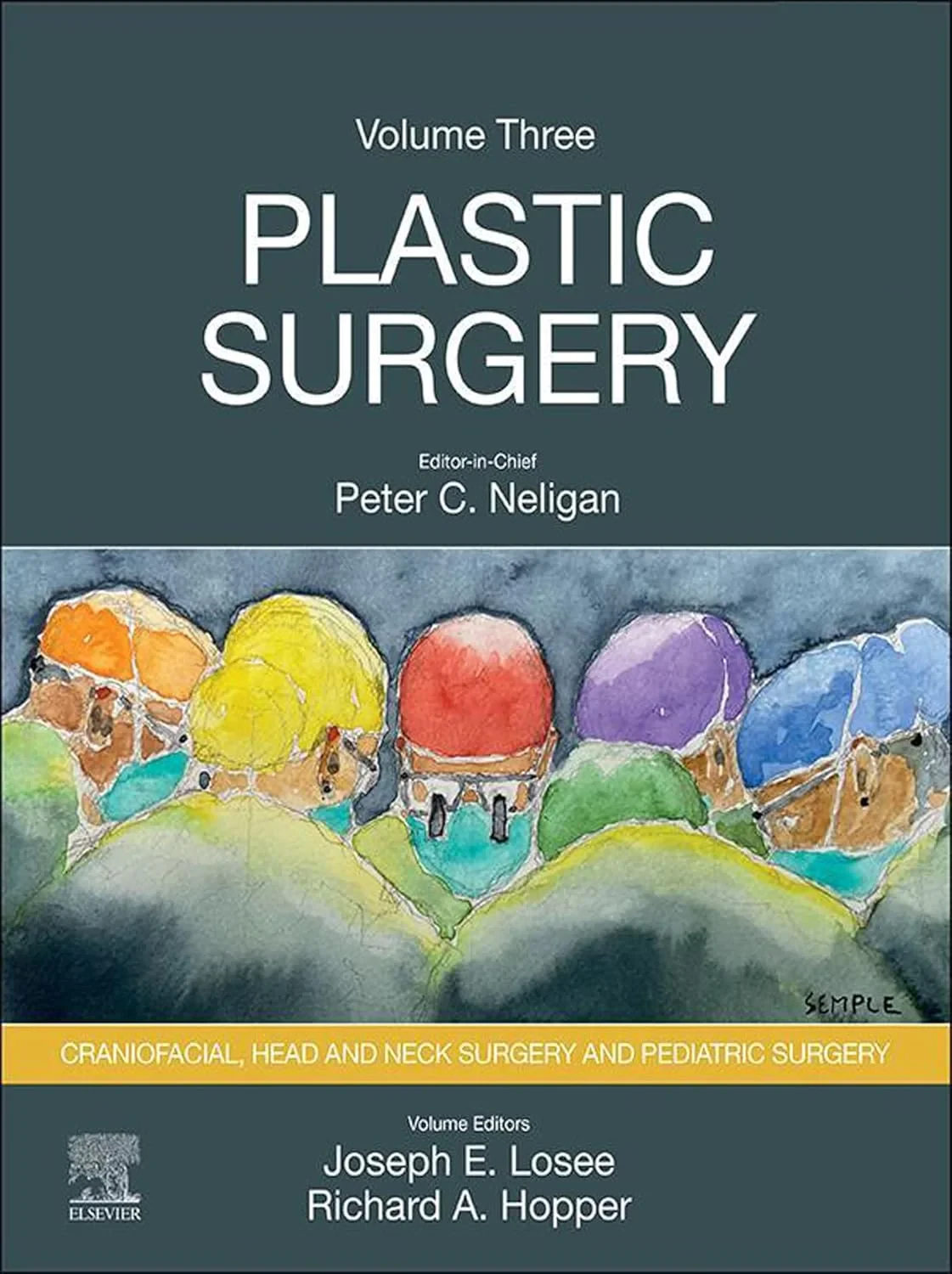 Coperta cărții "Plastic Surgery: Volume 3: Craniofacial, Head and Neck Surgery and Pediatric Plastic Surgery" de Peter C. Neligan, Joseph E. Losee, Richard Hopper