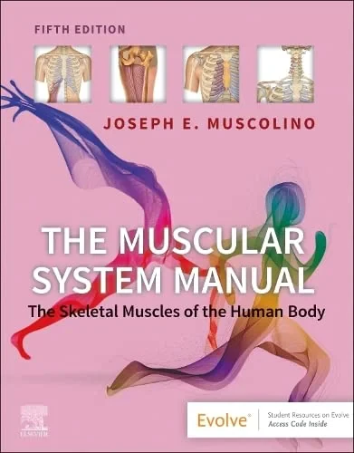 Coperta cărții "The Muscular System Manual: The Skeletal Muscles of the Human Body" de Joseph E. Muscolino