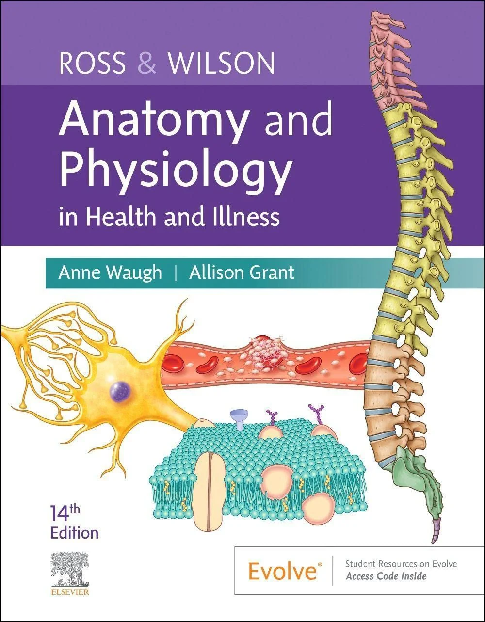 Coperta cărții "Ross &amp; Wilson Anatomy and Physiology in Health and Illness, 14th Edition" de Anne Waugh, Allison Grant