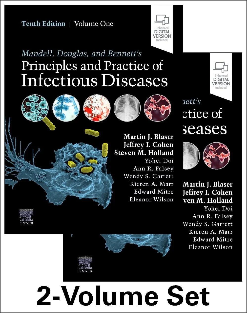 Coperta cărții "Mandll, Douglas and Bennett's Principles and Practice of Infectious" de Martin J. Blaser, Jeffrey I. Cohen, Steven M. Holland