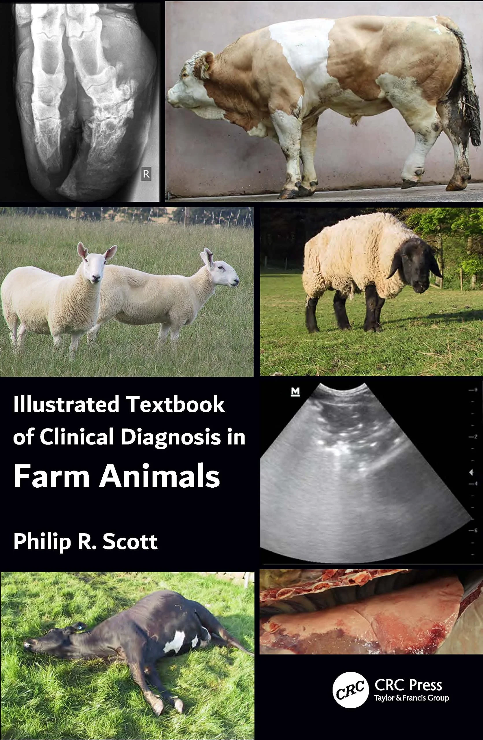 Coperta cărții "Illustrated Textbook of Clinical Diagnosis in Farm Animals" de Philip R Scott