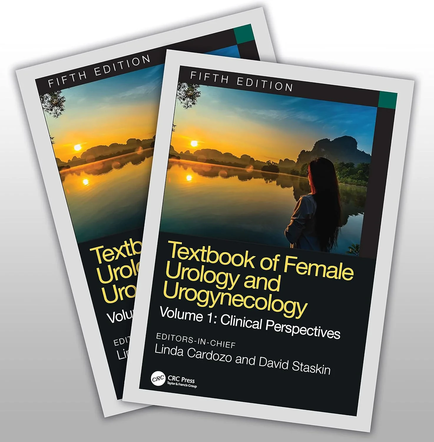 Textbook of Female Urology and Urogynecology: Two-...