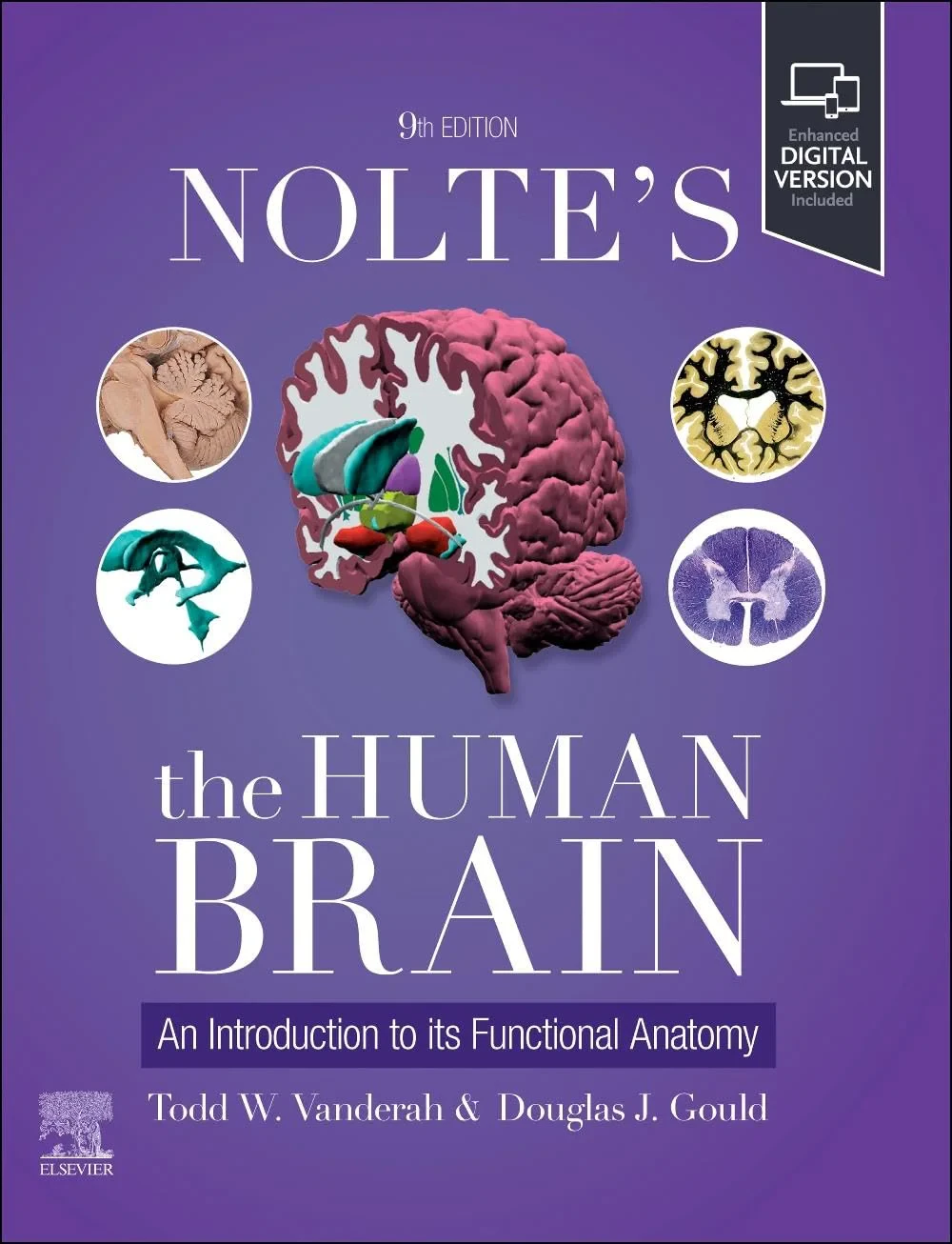 Coperta cărții "Nolte's The Human Brain: An Introduction to its Functional Anatomy" de Todd W. Vanderah, Douglas J. Gould