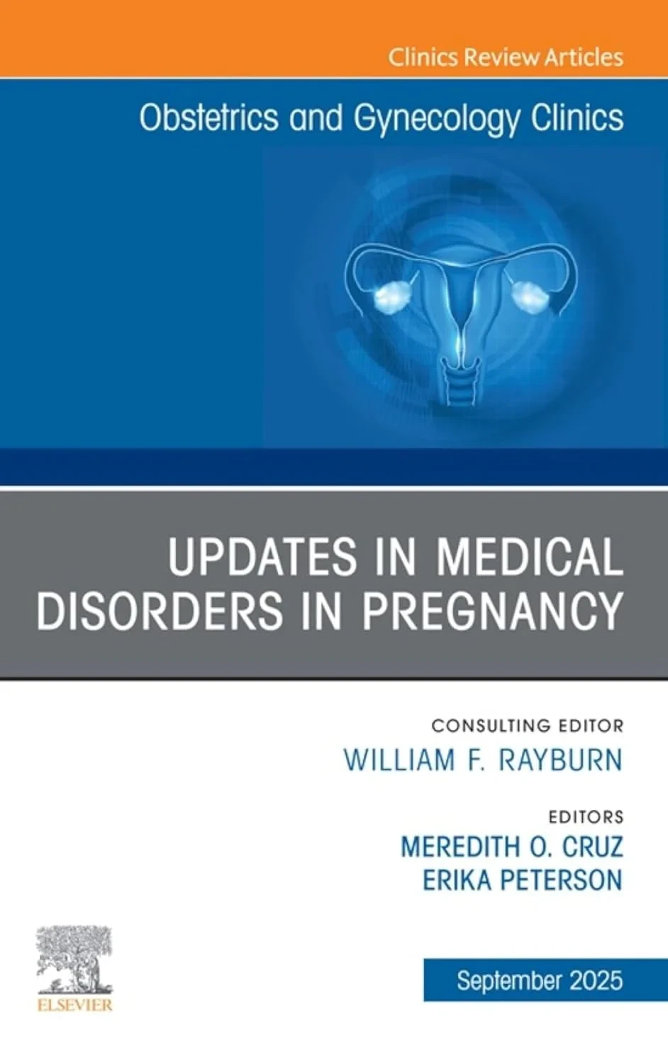 Coperta cărții "Updates in Medical Disorders in Pregnancy, An Issue of Obstetrics and Gynecology Clinics of North America, 1st Edition" de Meredith Cruz, Erika Peterson