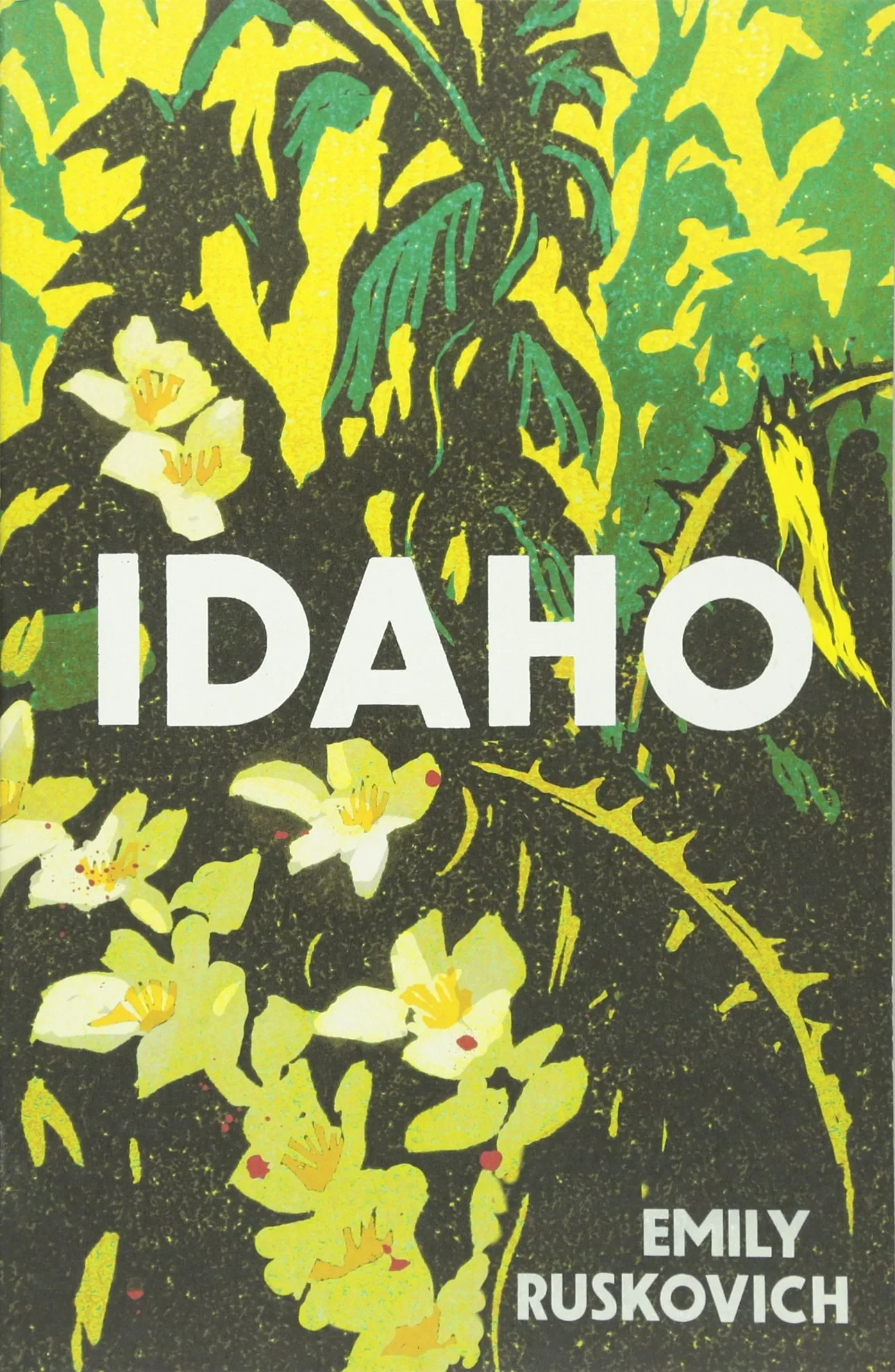 Coperta cărții "Idaho" de Emily Ruskovich