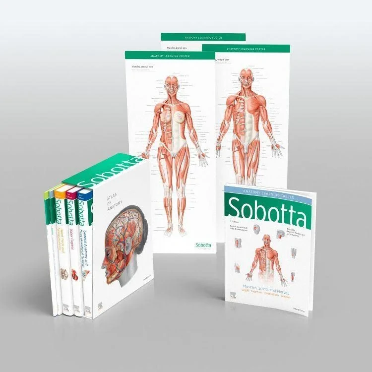 Coperta cărții "Atlas de anatomie Sobotta. Sobotta atlas of anatomy, Package, 17th ed., English/Latin" de Friedrich Paulsen, Jens Waschke