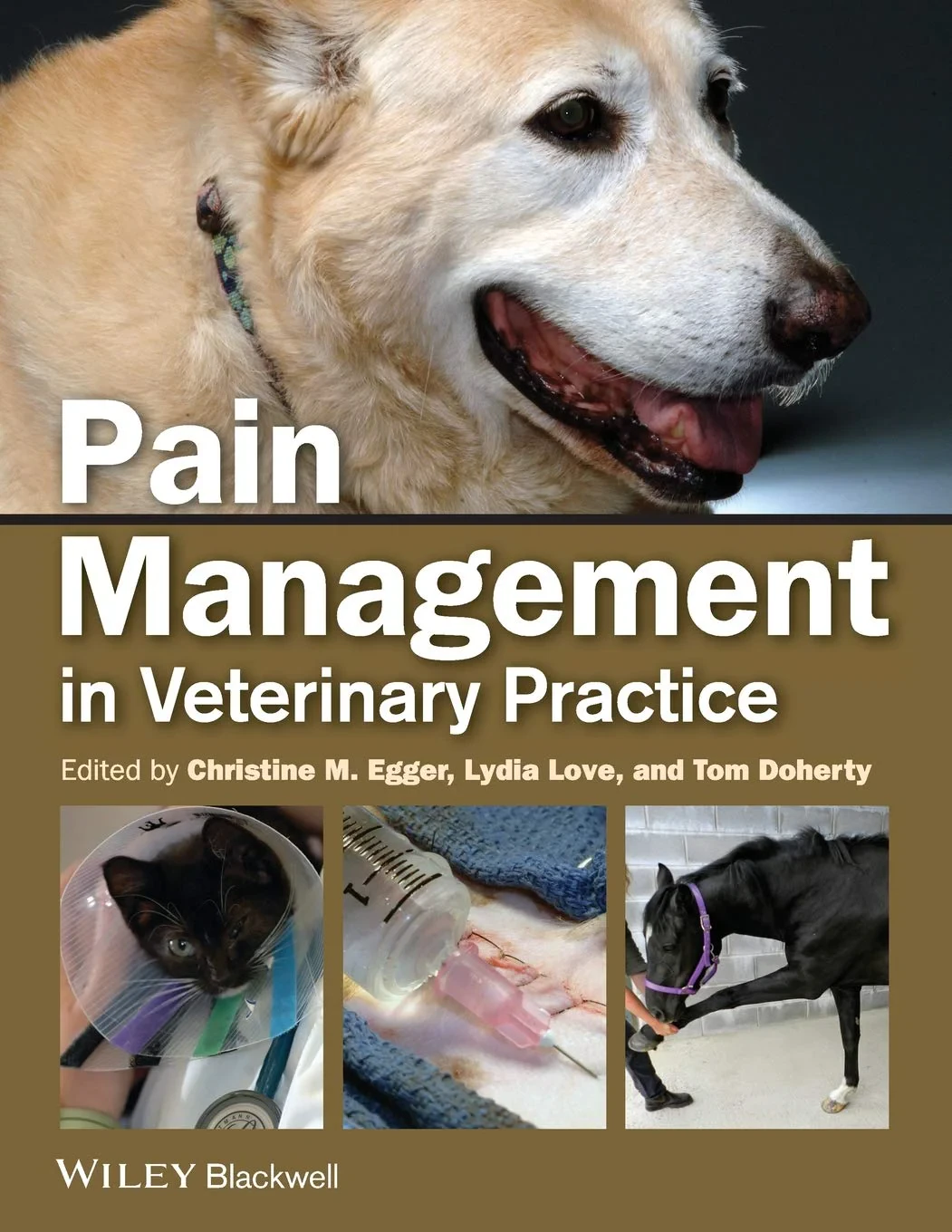 Coperta cărții "Pain Management in Veterinary Practice" de Christine M. Egger, Lydia Love, Tom Doherty