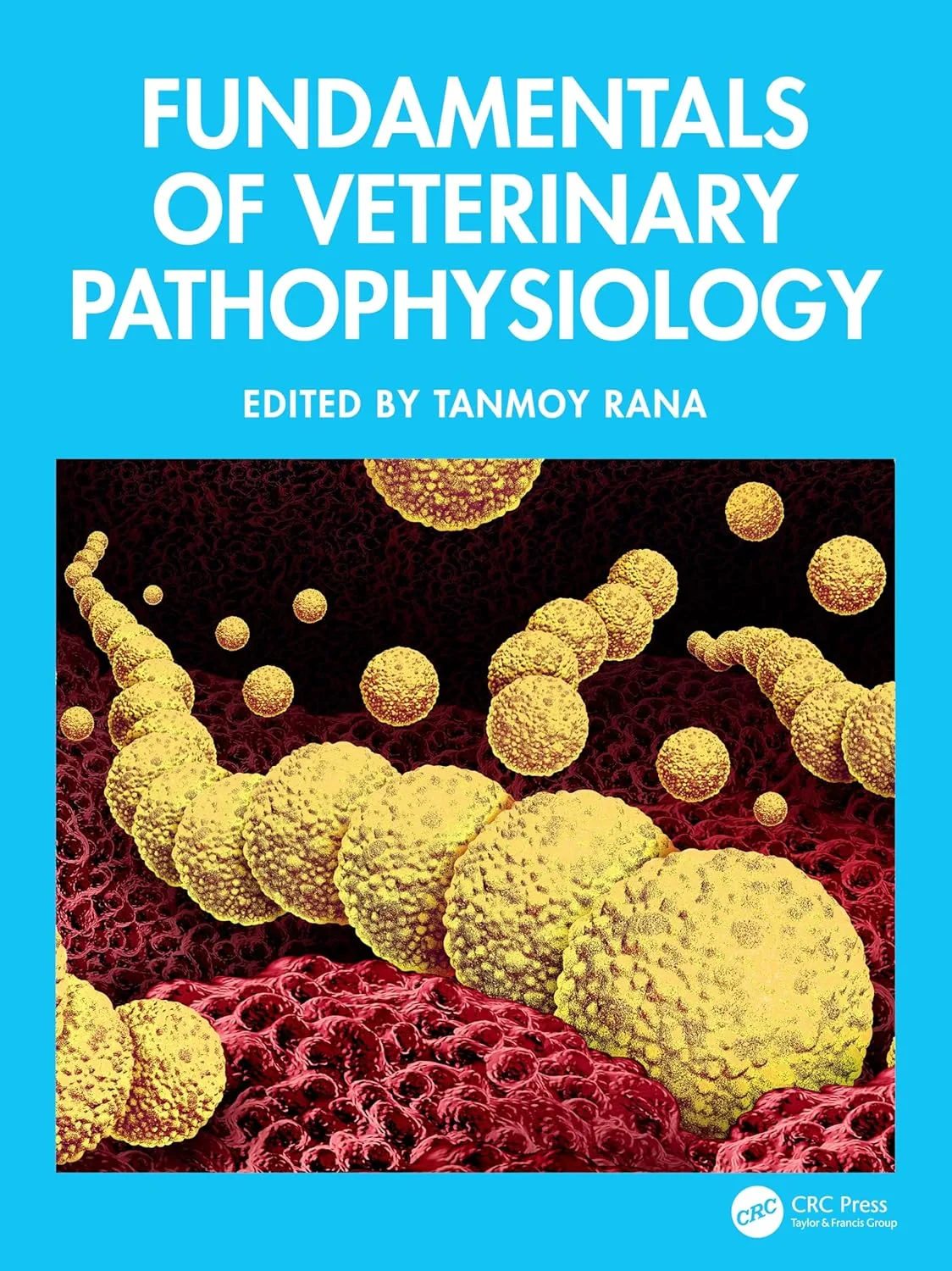 Coperta cărții "Fundamentals of Veterinary Pathophysiology" de autor necunoscut