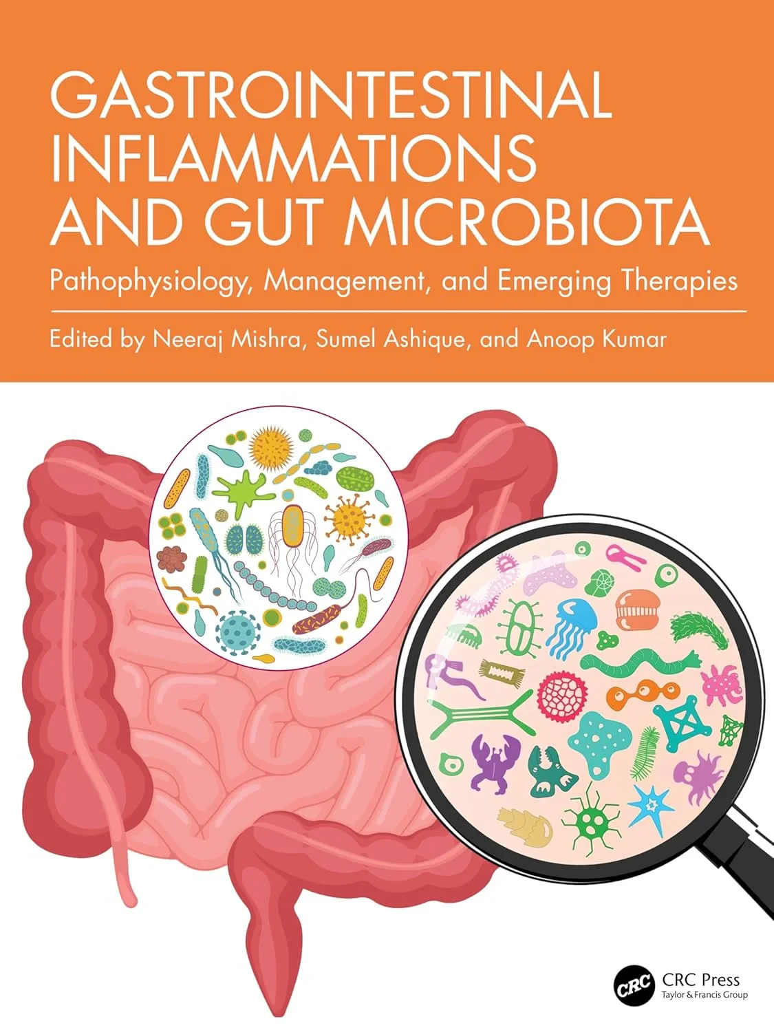 Coperta cărții "Gastrointestinal Inflammations and Gut Microbiota: Pathophysiology, Management, and Emerging Therapies 1st Edition" de Neeraj Mishra, Sumel Ashique, Anoop Kumar