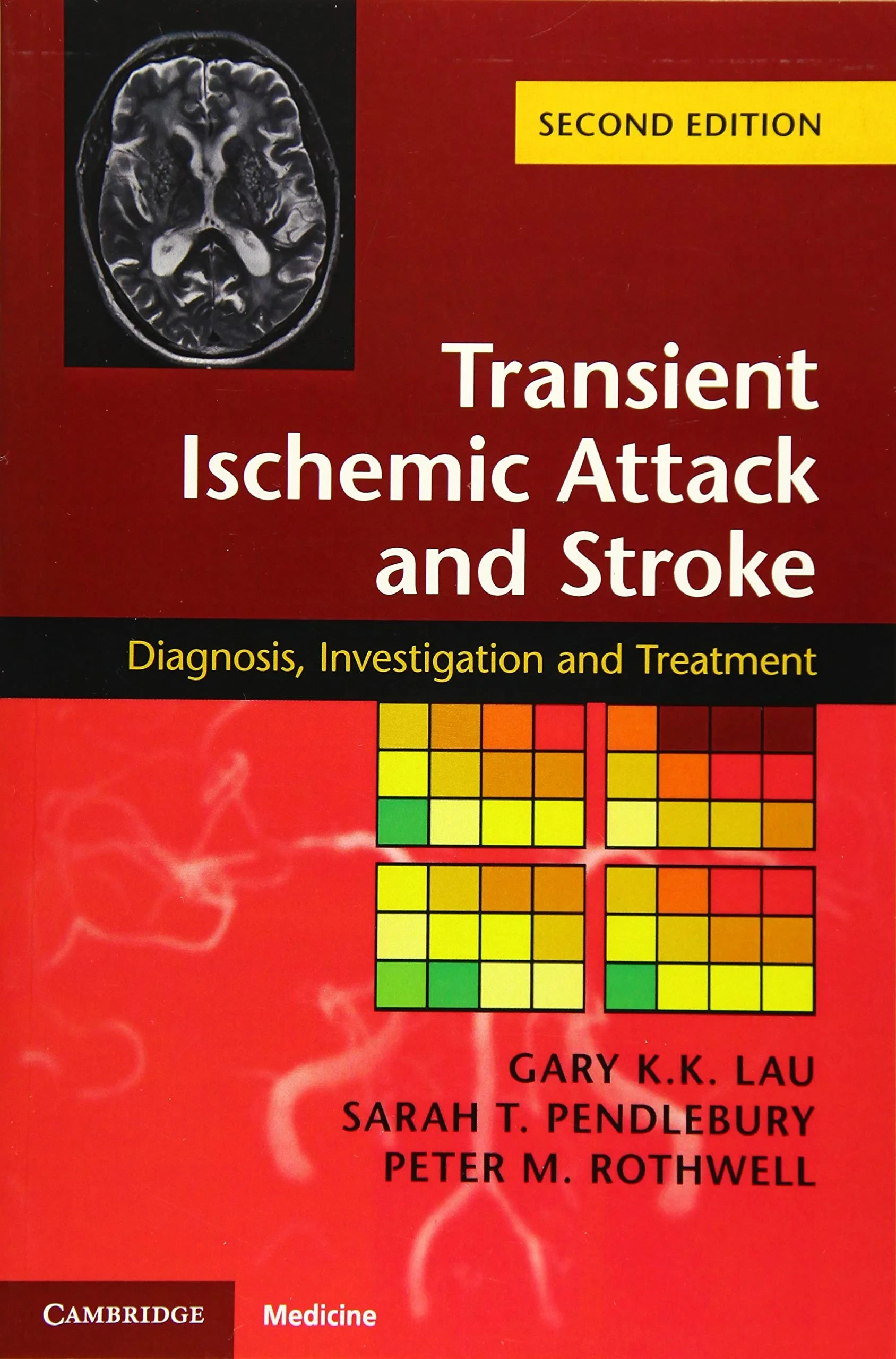Coperta cărții "Transient Ischemic Attack and Stroke: Diagnosis, Investigation and Treatment" de Gary K. K. Lau, Sarah T. Pendlebury, Peter M. Rothwell