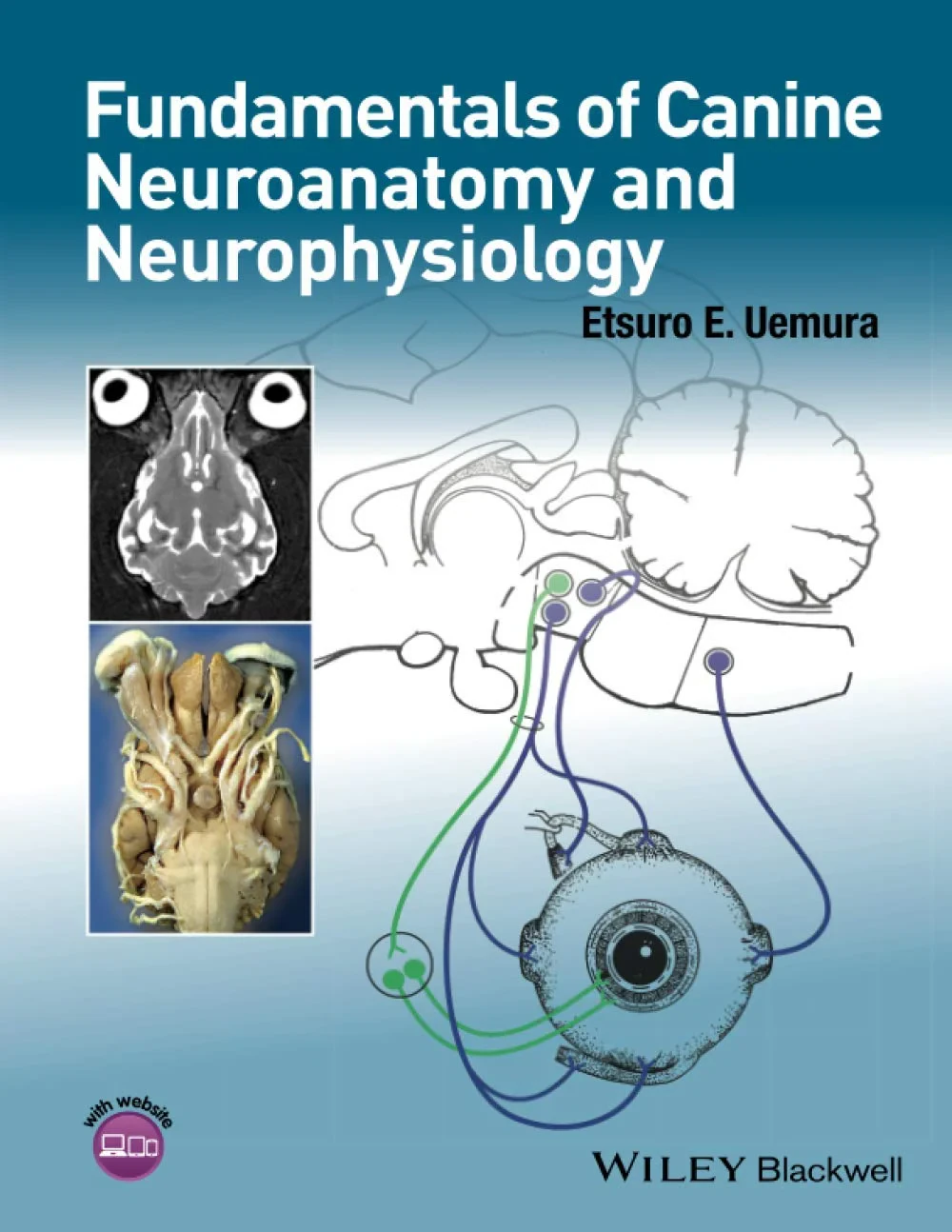 Coperta cărții "Fundamentals of Canine Neuroanatomy and Neurophysiology" de Etsuro E. Uemura