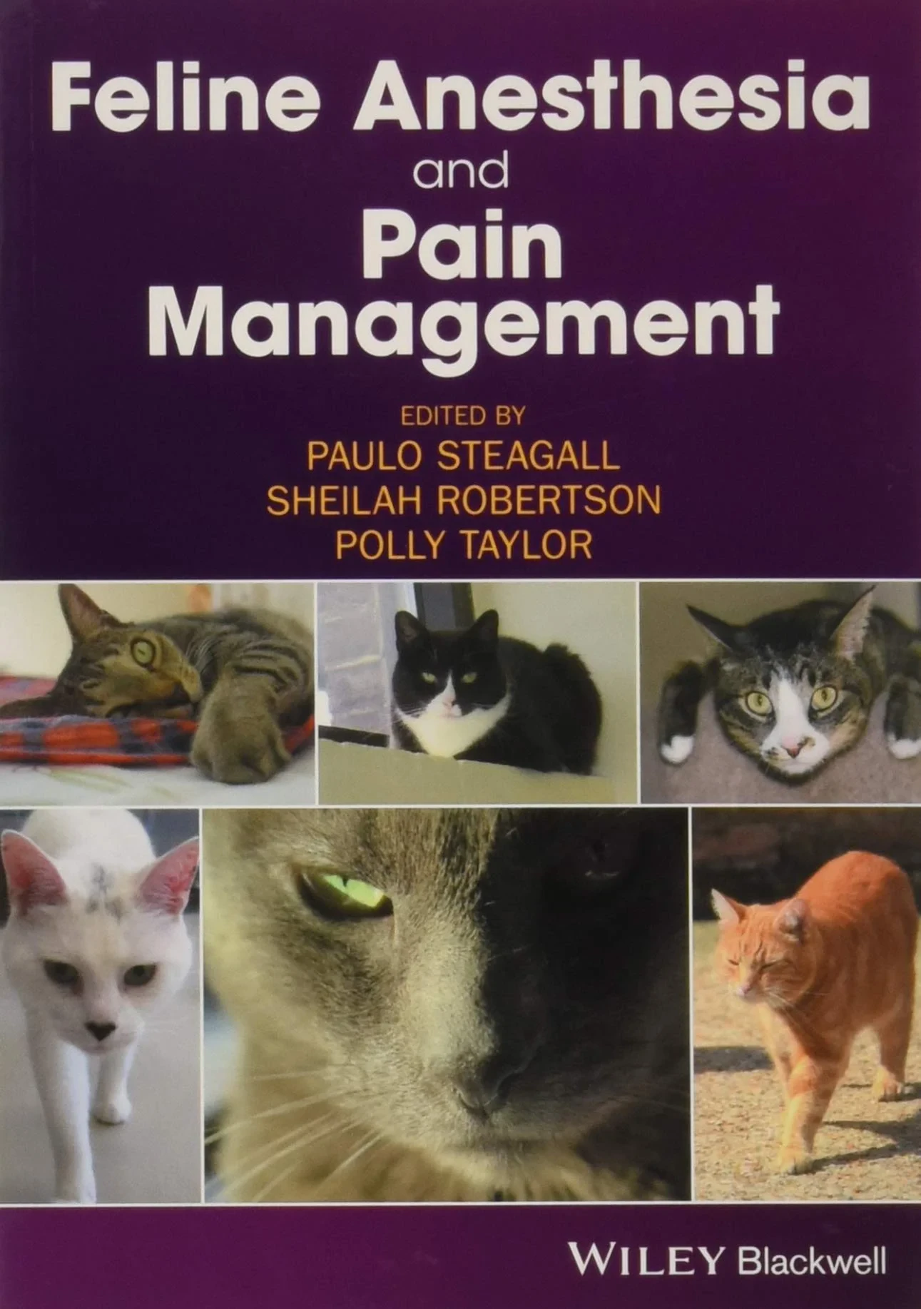 Coperta cărții "Feline Anesthesia and Pain Management " de Paulo Steagall, Sheilah A. Robertson, Polly Taylor