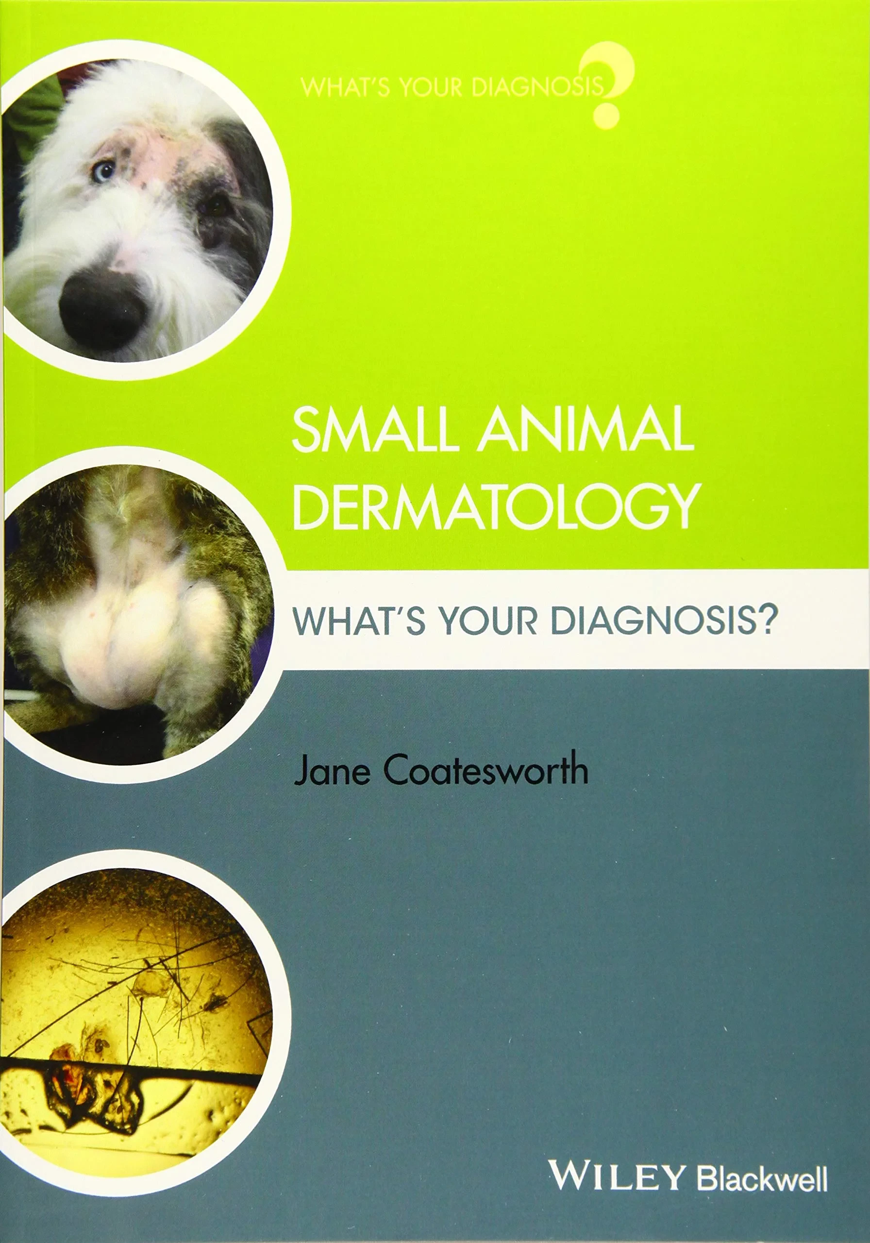 Coperta cărții "Small Animal Dermatology: What′s Your Diagnosis?" de Jane Coatesworth