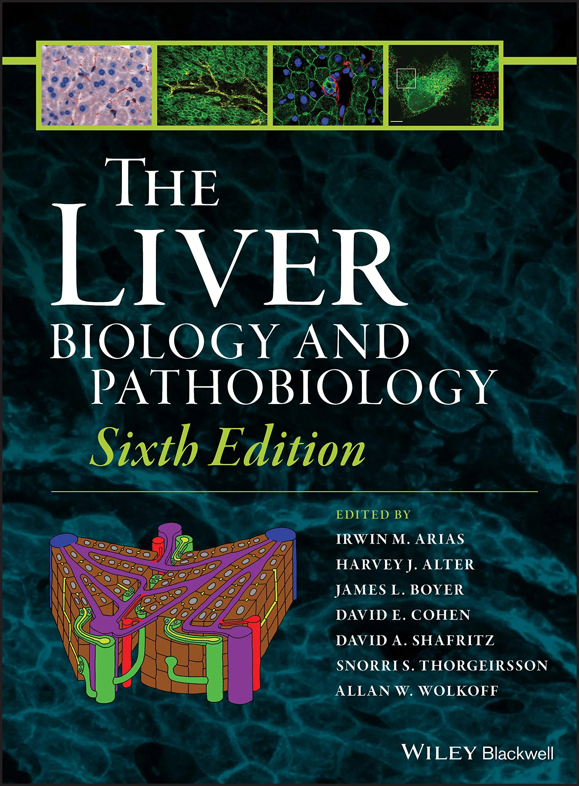 The Liver: Biology and Pathobiology 