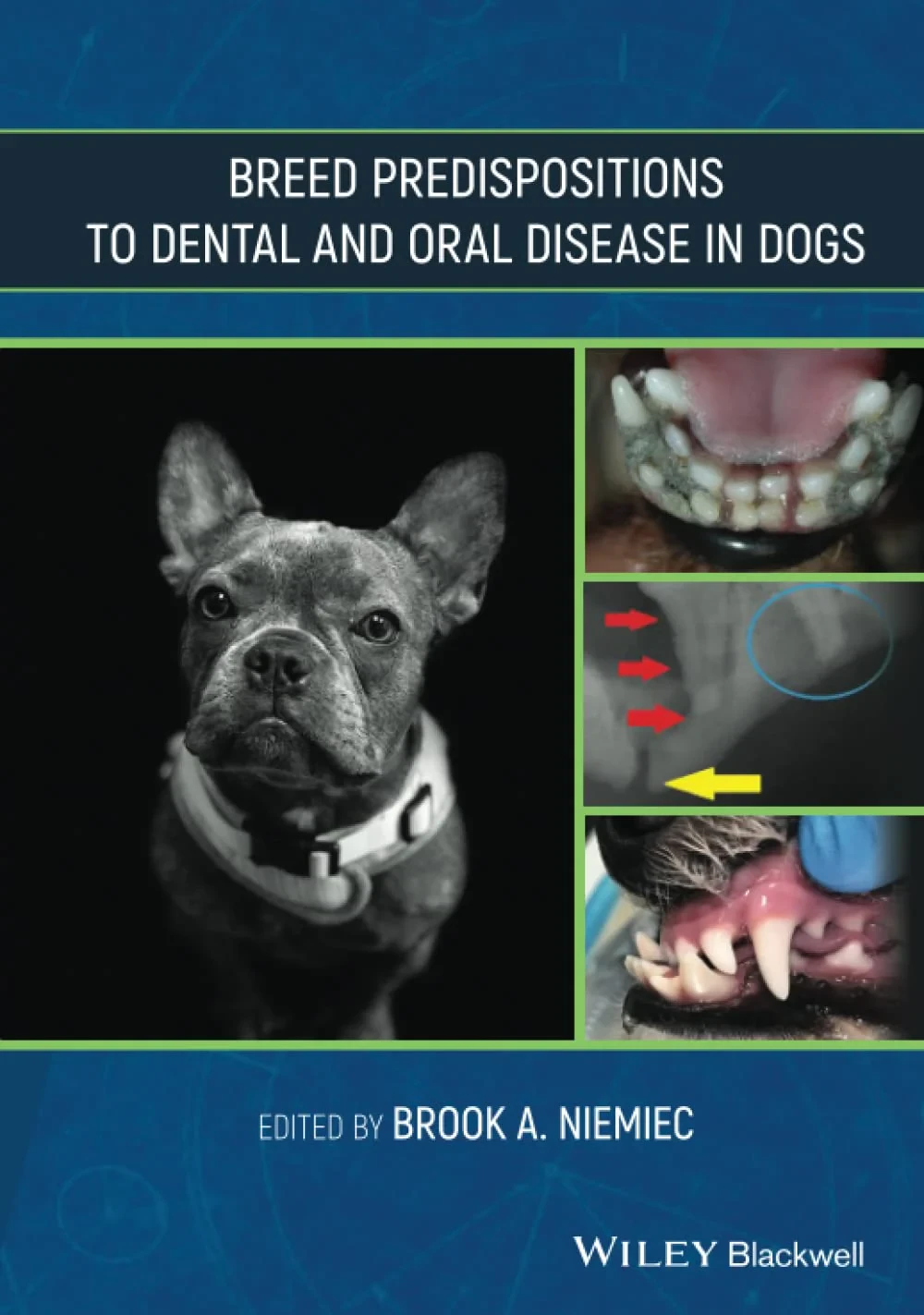 Coperta cărții "Breed Predispositions to Dental and Oral Disease in Dogs" de Brook Niemiec