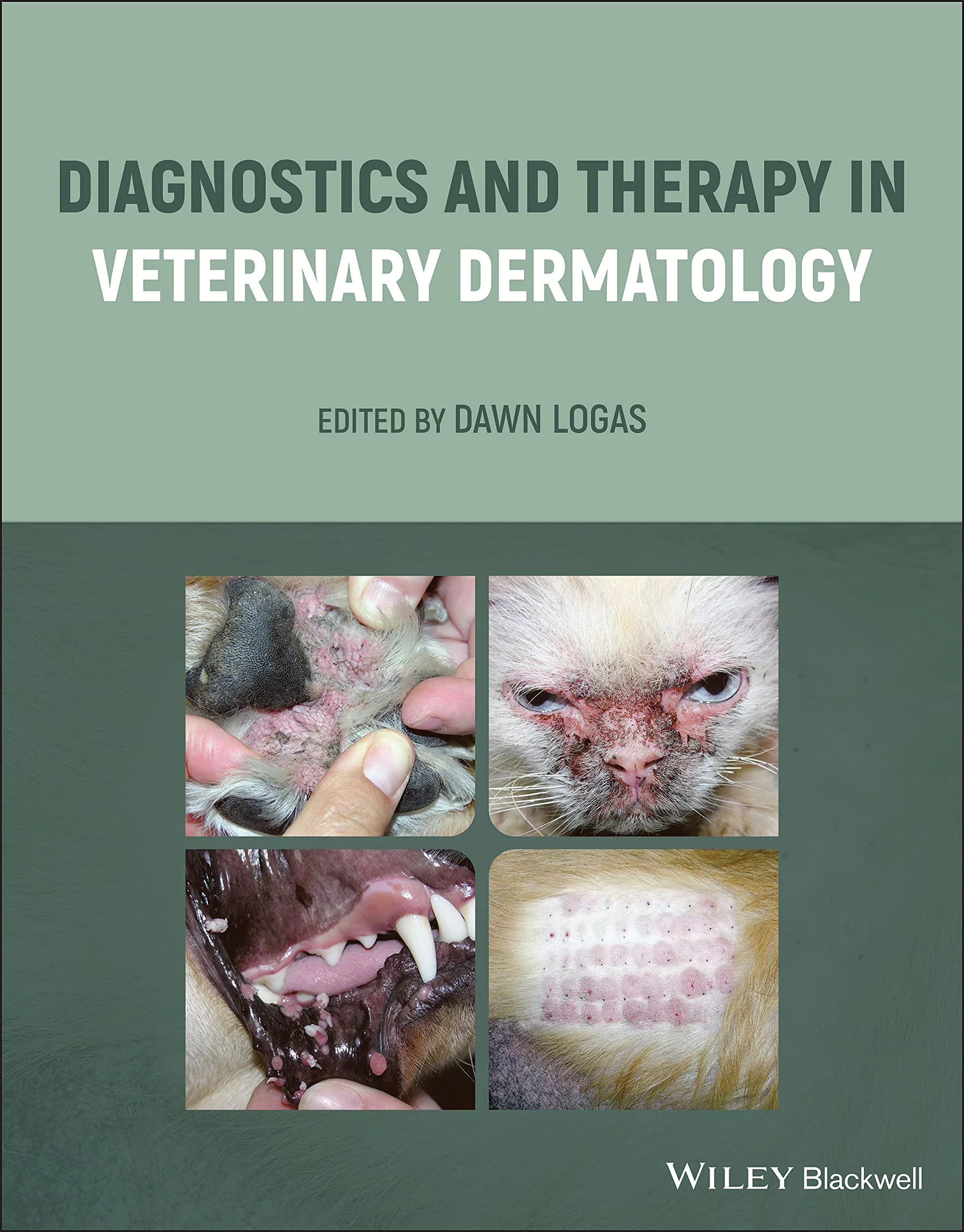 Coperta cărții "Diagnostics and Therapy in Veterinary Dermatology " de Dawn Logas