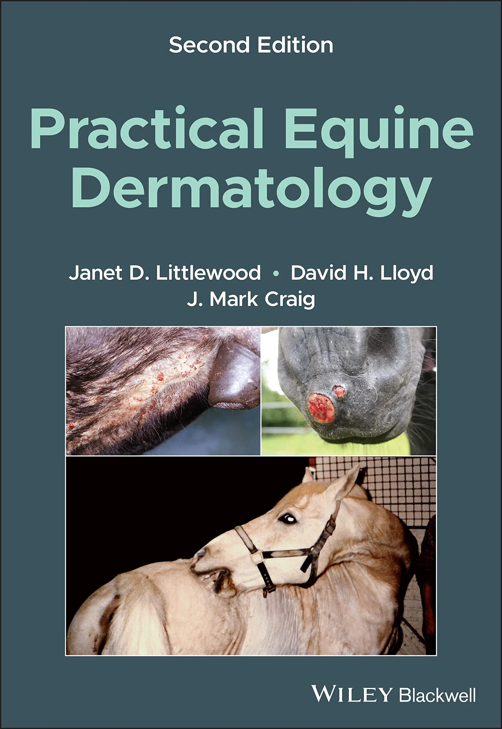 Coperta cărții "Practical Equine Dermatology, 2nd Edition" de Janet D. Littlewood, David H. Lloyd, J. Mark Craig