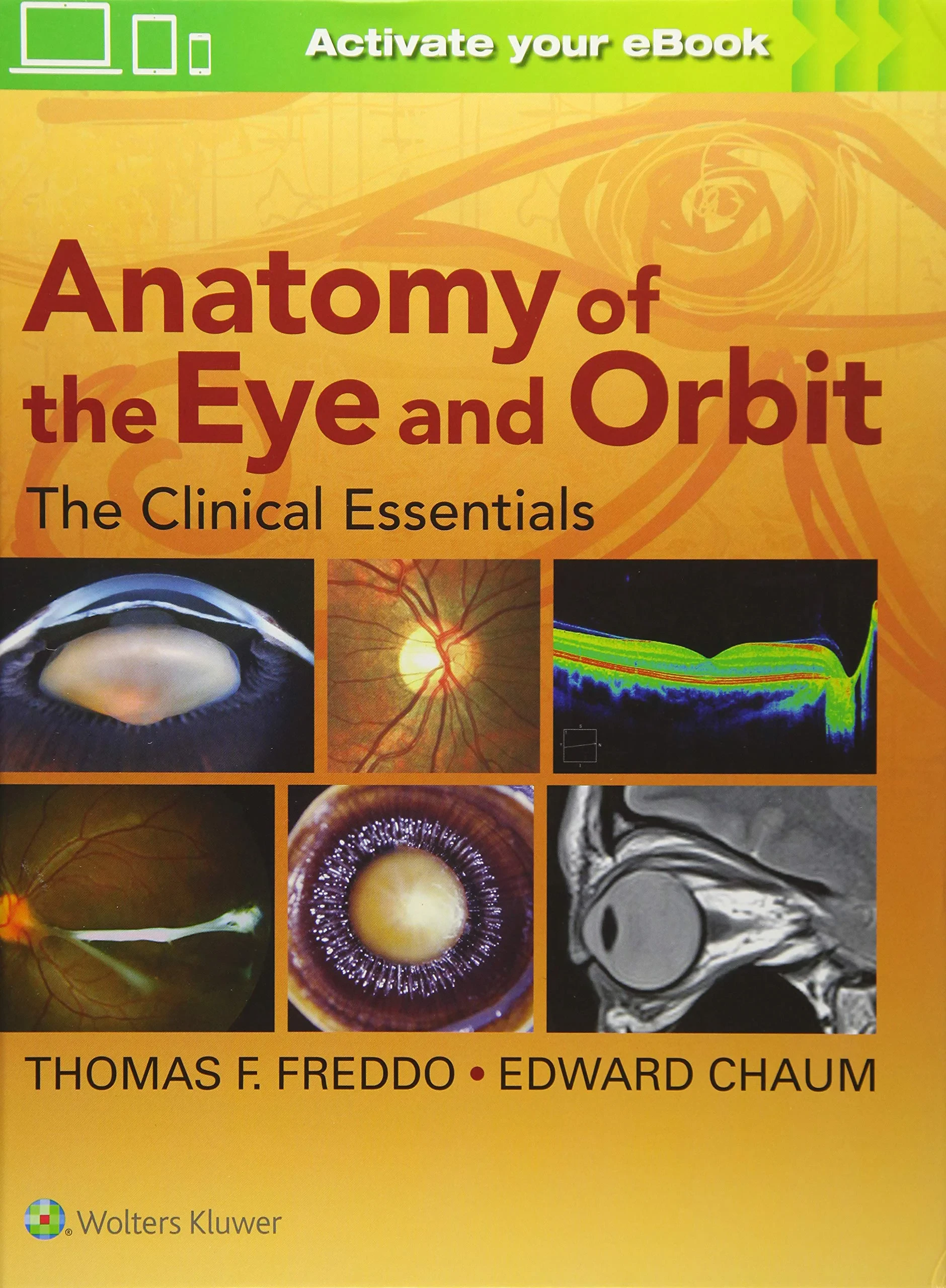 Coperta cărții "Anatomy of the Eye and Orbit: The Clinical Essentials" de Thomas F Freddo, Edward Chaum