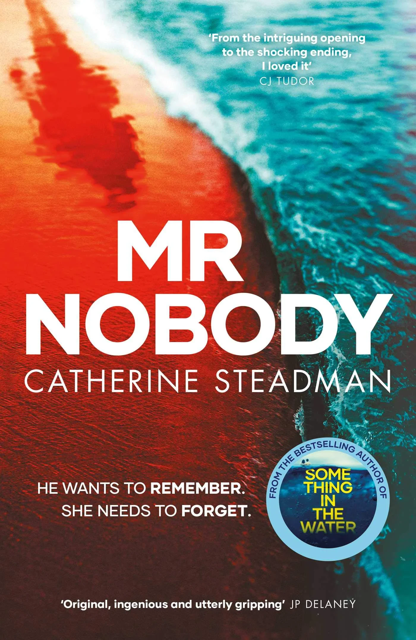 Coperta cărții "Mr Nobody" de Catherine Steadman