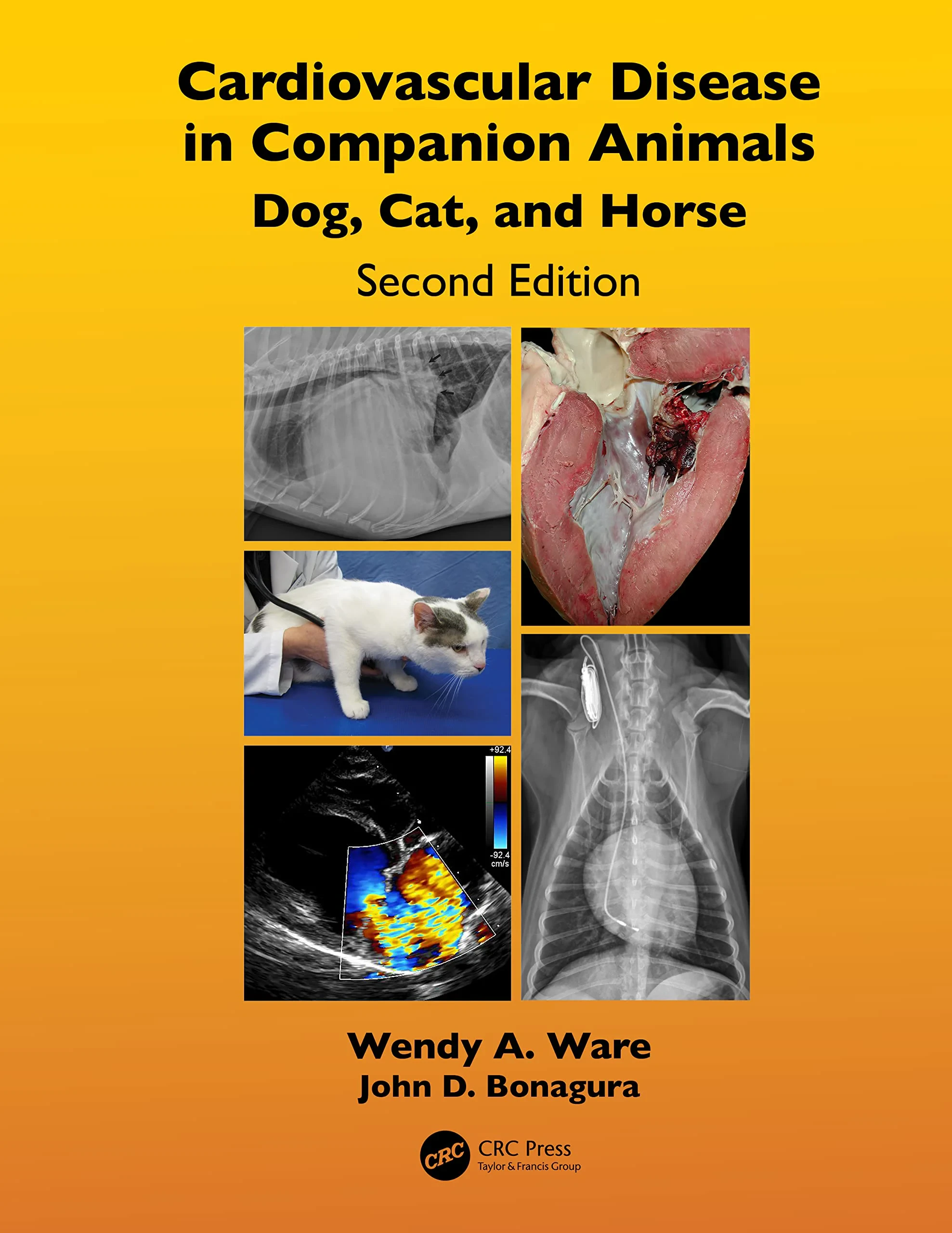Coperta cărții "Cardiovascular Disease in Companion Animals: Dog, Cat and Horse" de Wendy A. Ware, John D. Bonagura