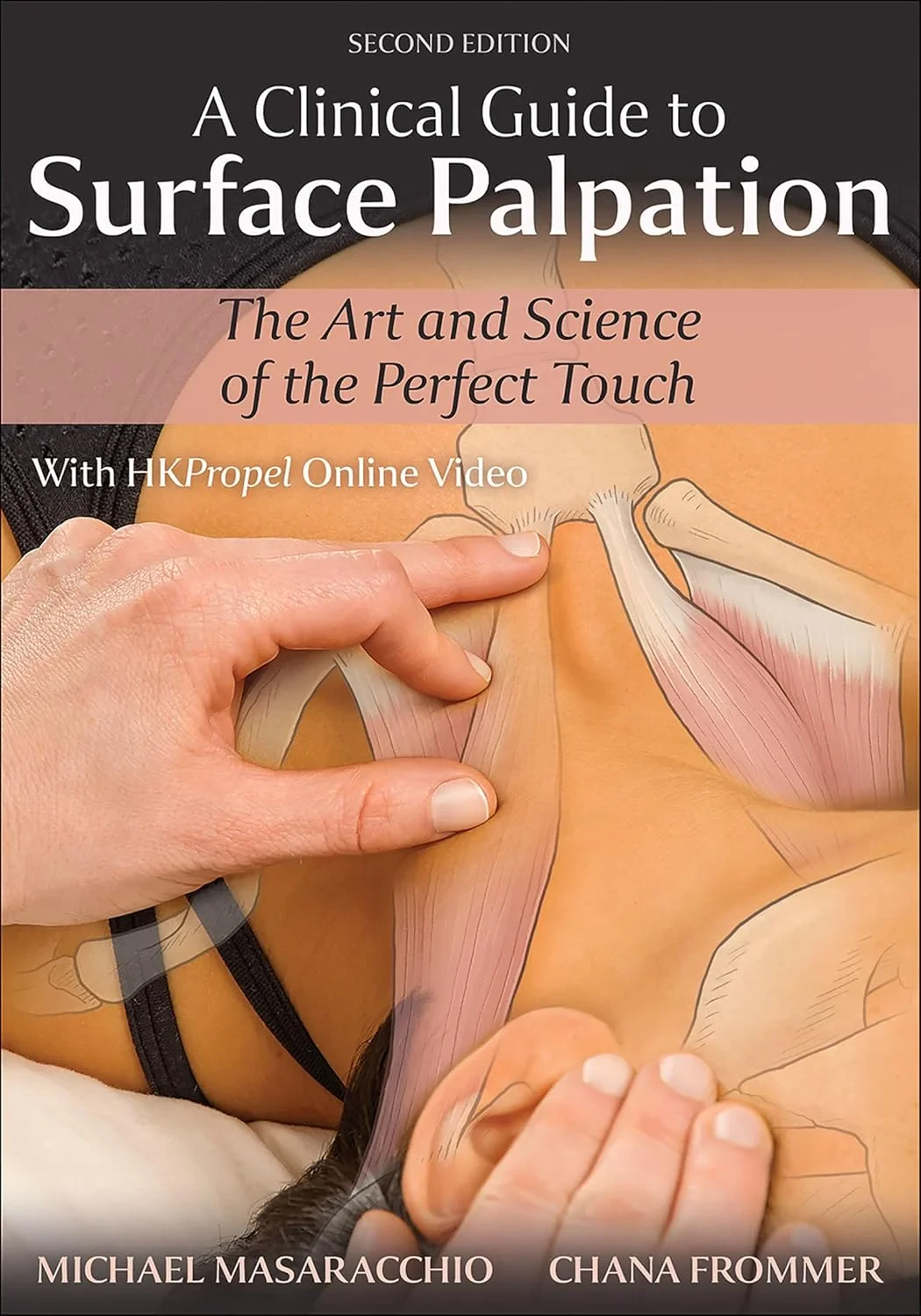 Coperta cărții "A Clinical Guide to Surface Palpation: The Art and Science of the Perfect Touch" de Michael Masaracchio, Chana Frommer