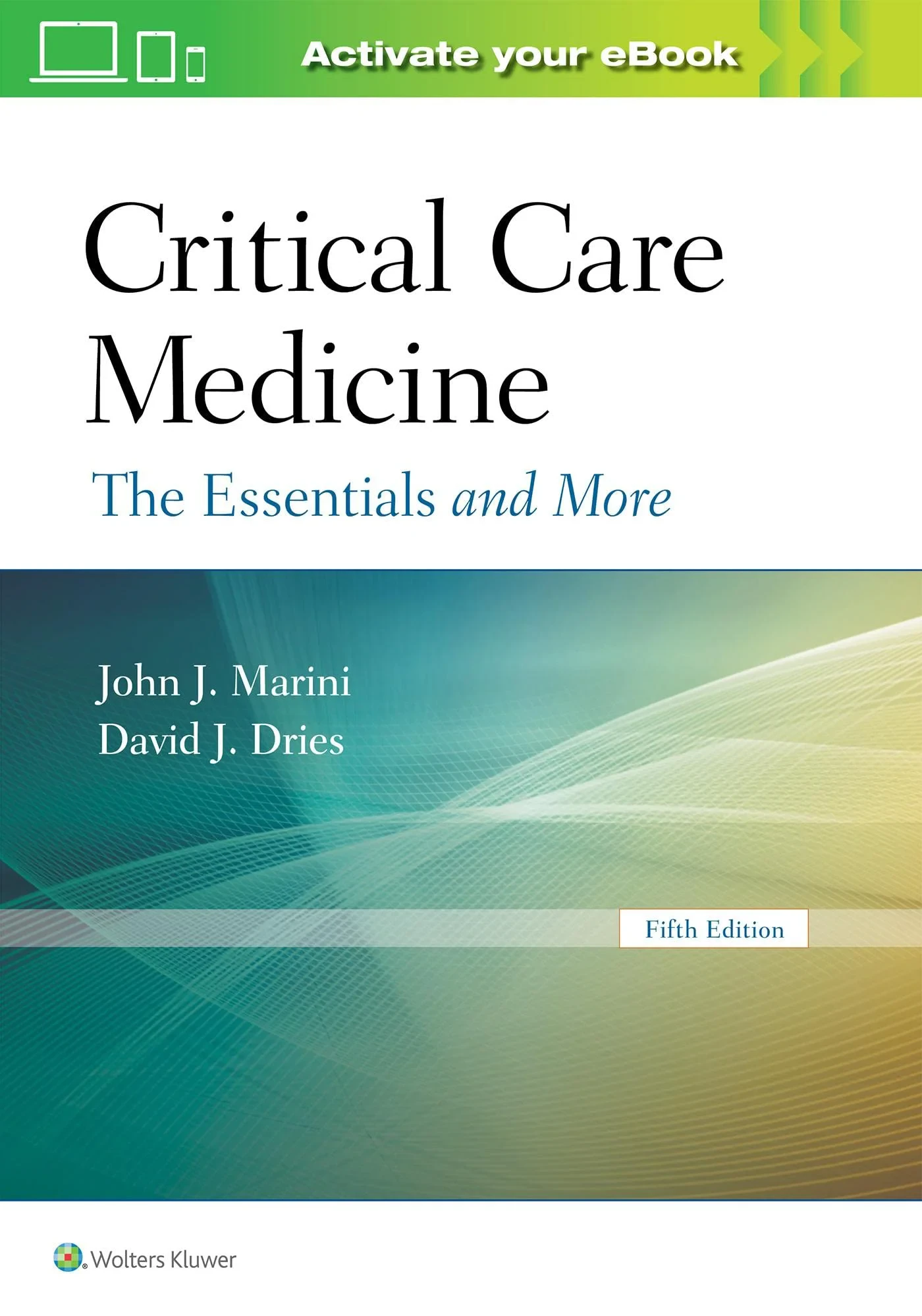 Coperta cărții "Critical Care Medicine: The Essentials and More" de Dr. John J Marini, David J Dries