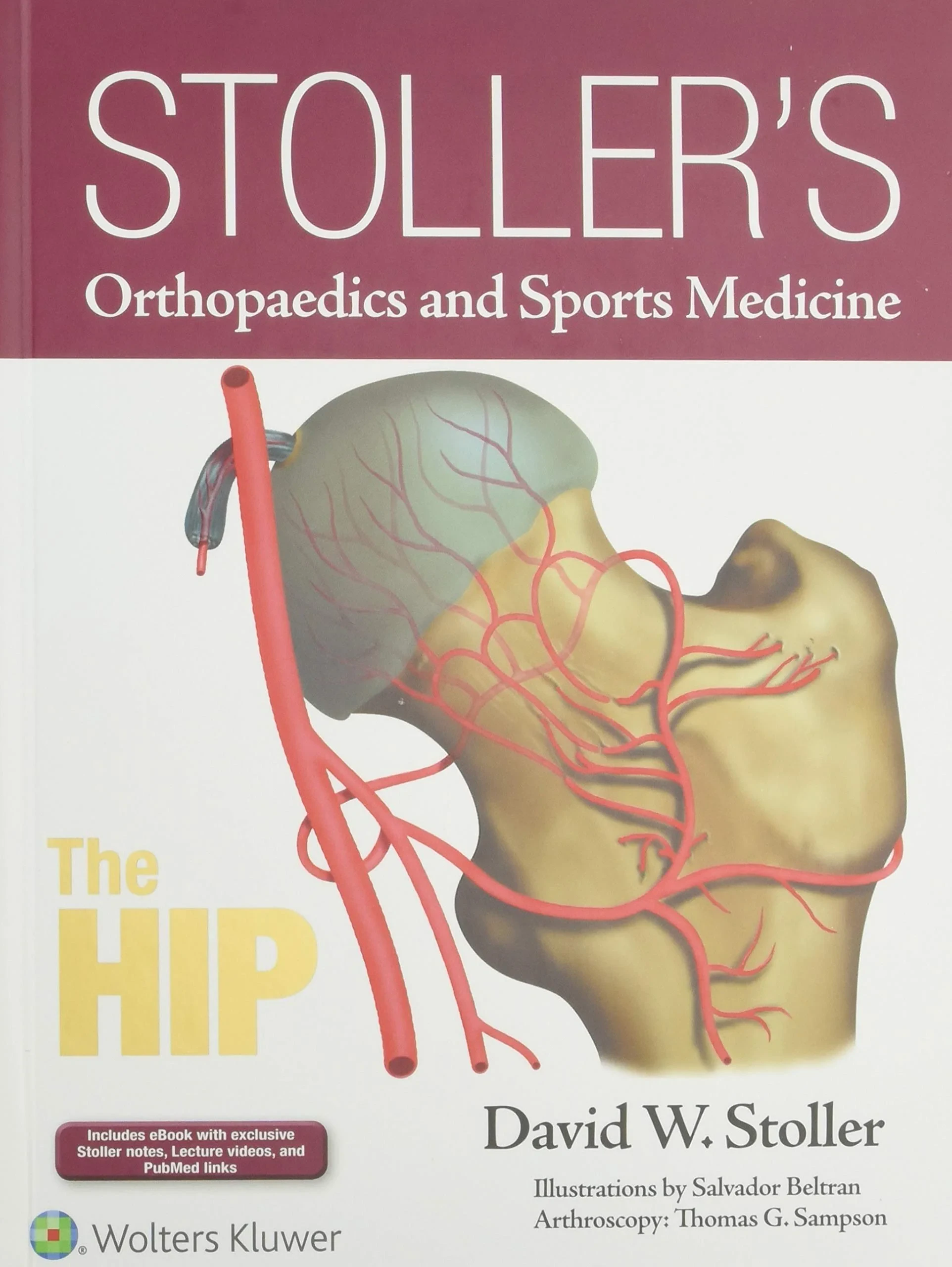 Stoller’s Orthopaedics and Sports Medicine: The Hi...