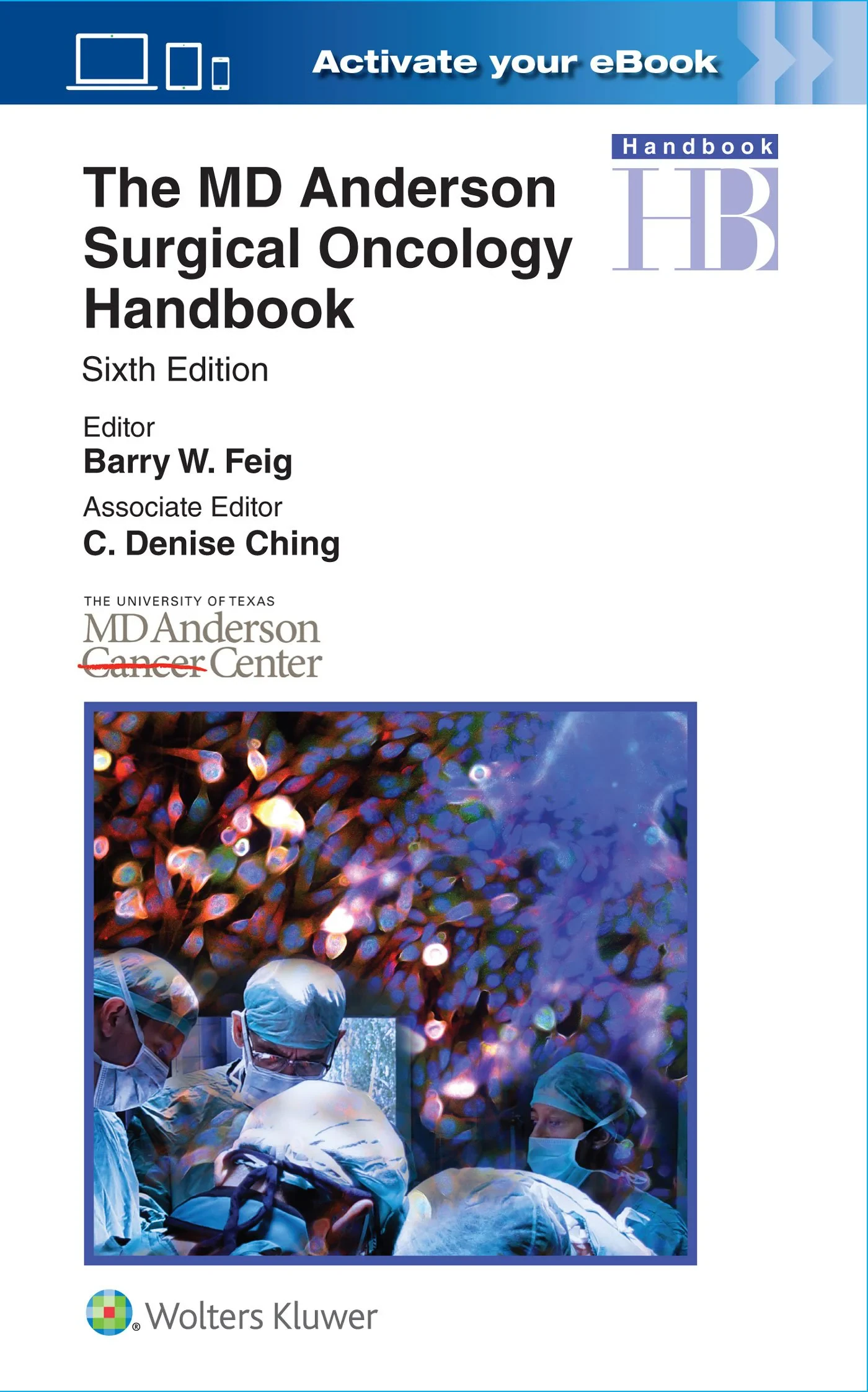 Coperta cărții "The MD Anderson Surgical Oncology Handbook, Sixth edition" de Barry Feig