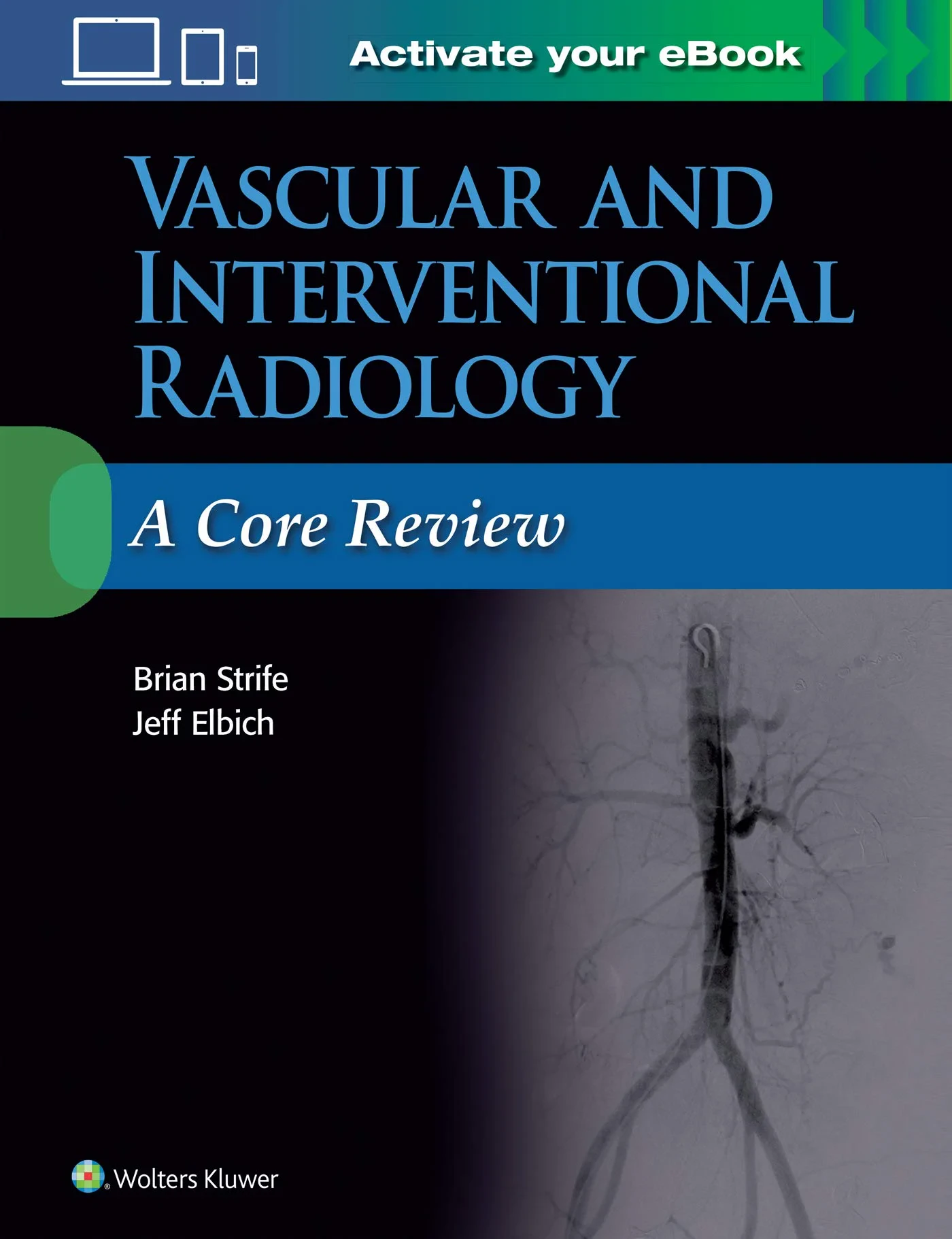 Coperta cărții "Vascular and Interventional Radiology: A Core Review" de Brian Strife MD, Jeffrey Elbich