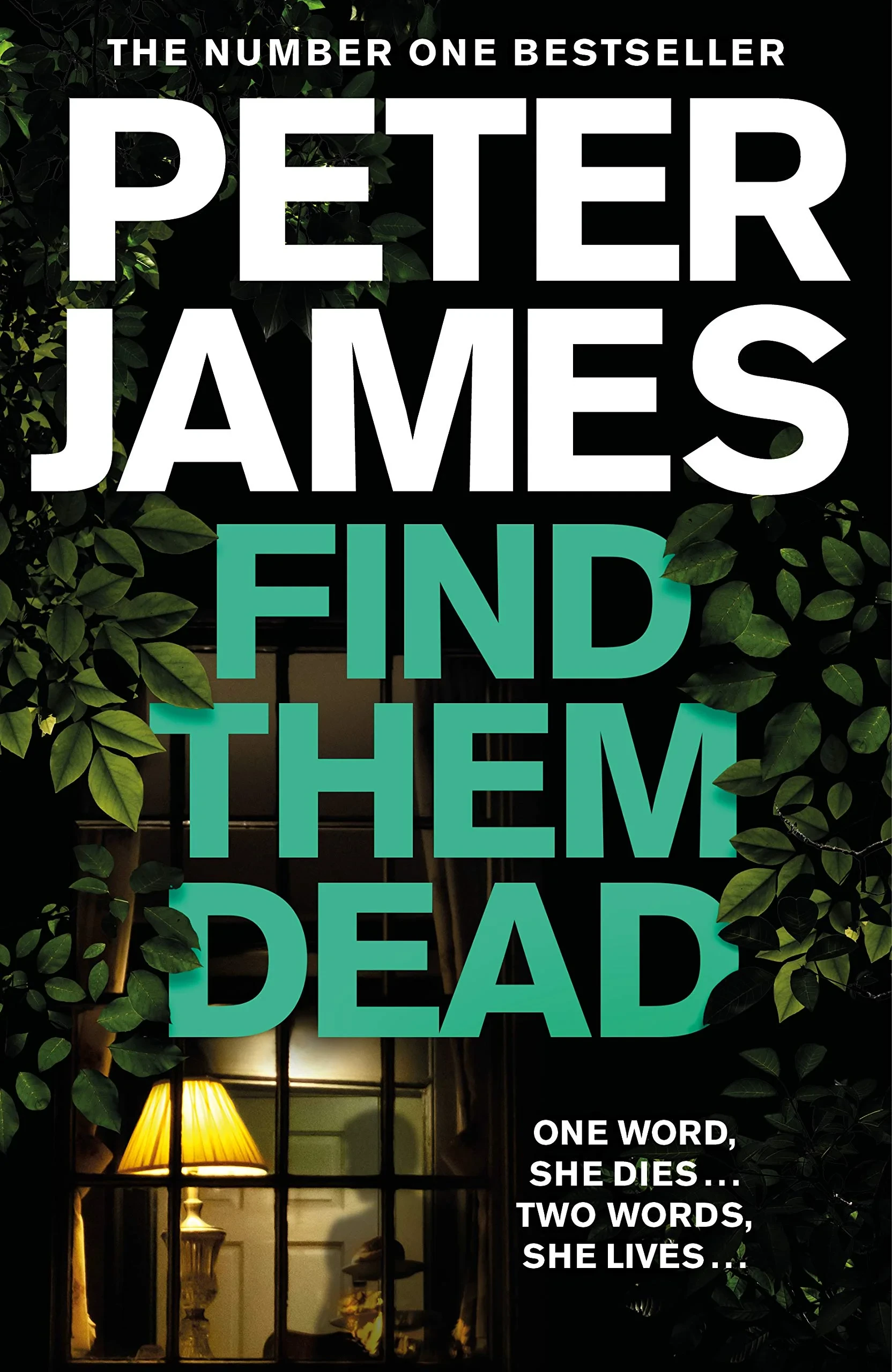 Coperta cărții "Find Them Dead" de Peter James