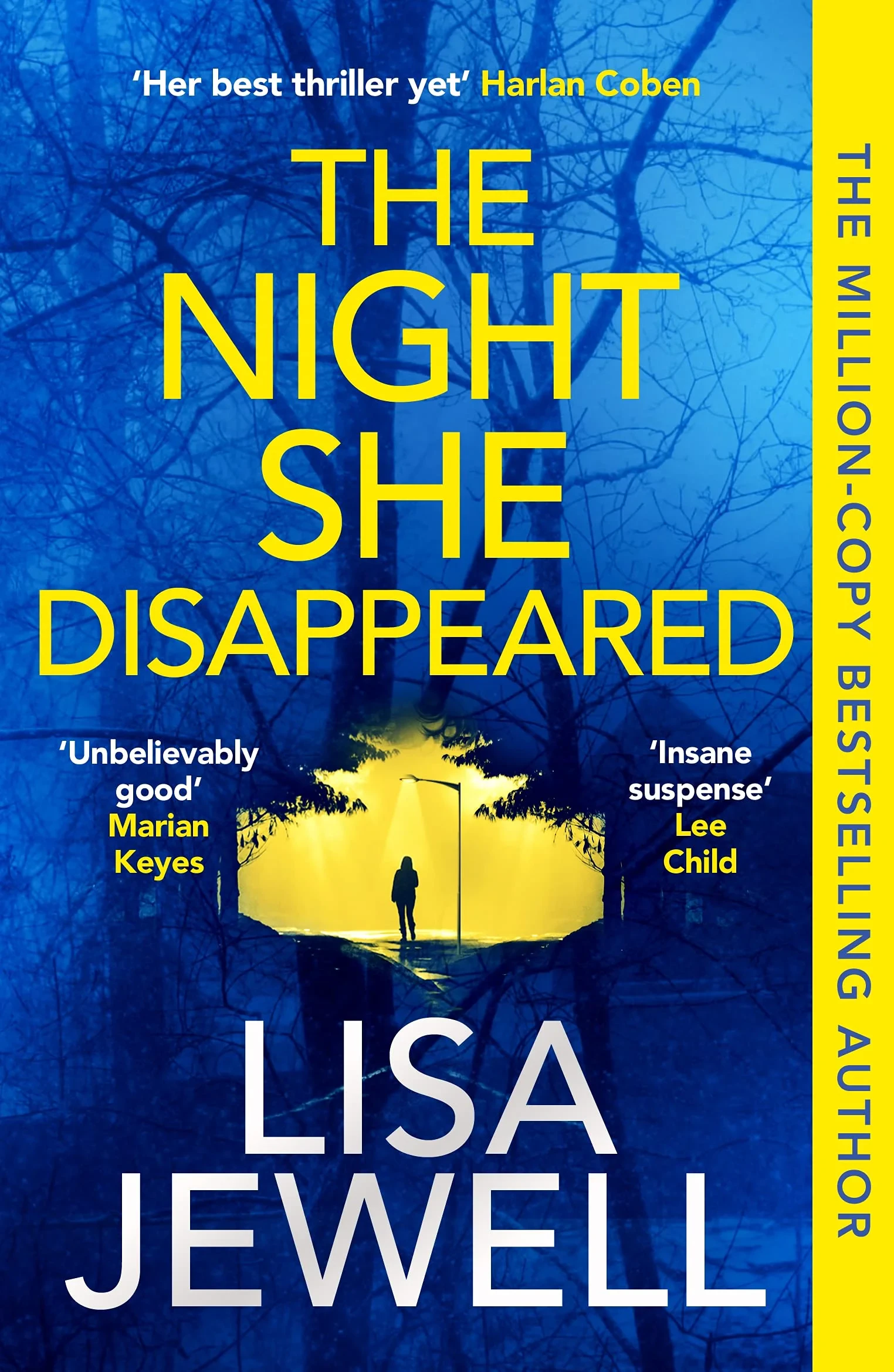 Coperta cărții "Night She Disappeared" de Lisa Jewell