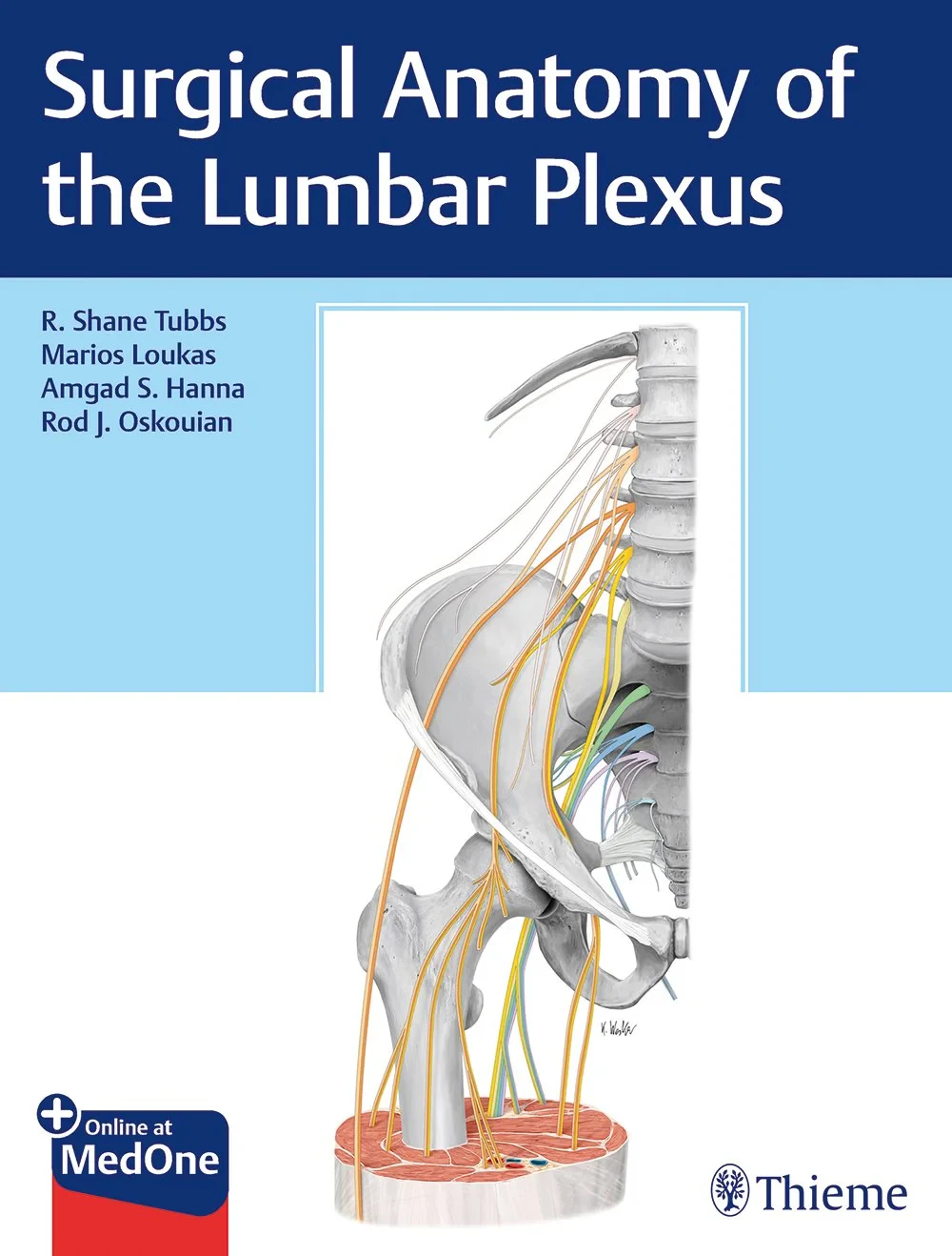 Coperta cărții "Surgical Anatomy of the Lumbar Plexus" de R. Shane Tubbs, Amgad Hanna, Marios Loukas, Rod Oskouian