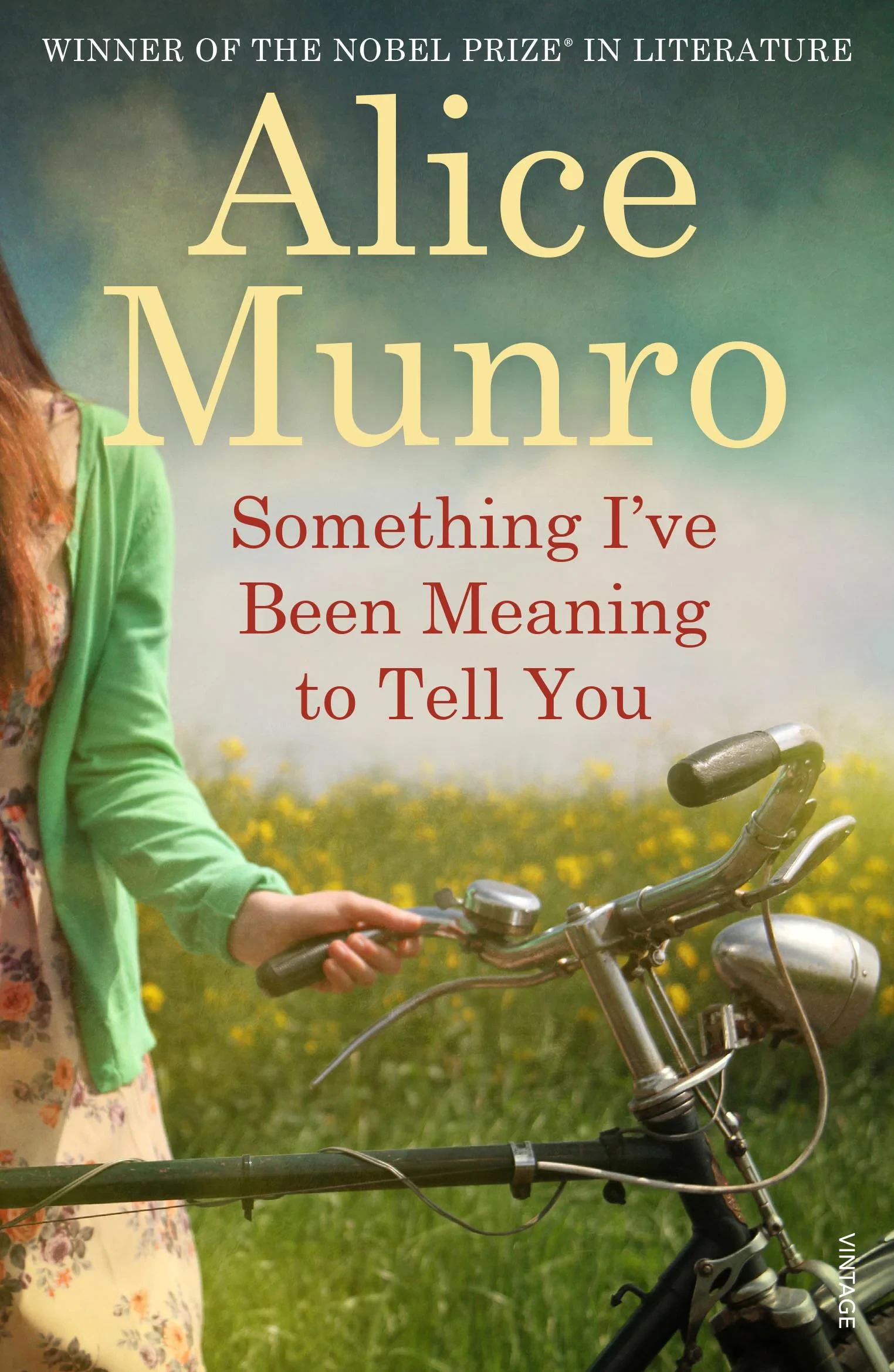 Coperta cărții "Something I've Been Meaning to Tell You" de Alice Munro