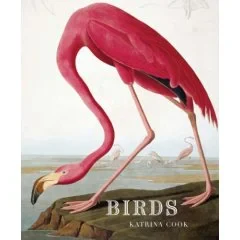 Coperta cărții "Birds" de Katrina Cook