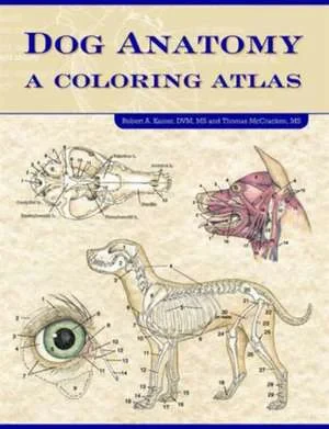 Coperta cărții "Dog Anatomy: A Coloring Atlas" de Robert Kainer, Thomas O. McCraken