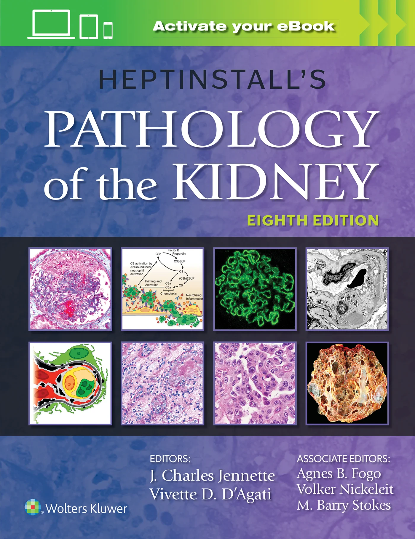 Heptinstall’s Pathology of the Kidney